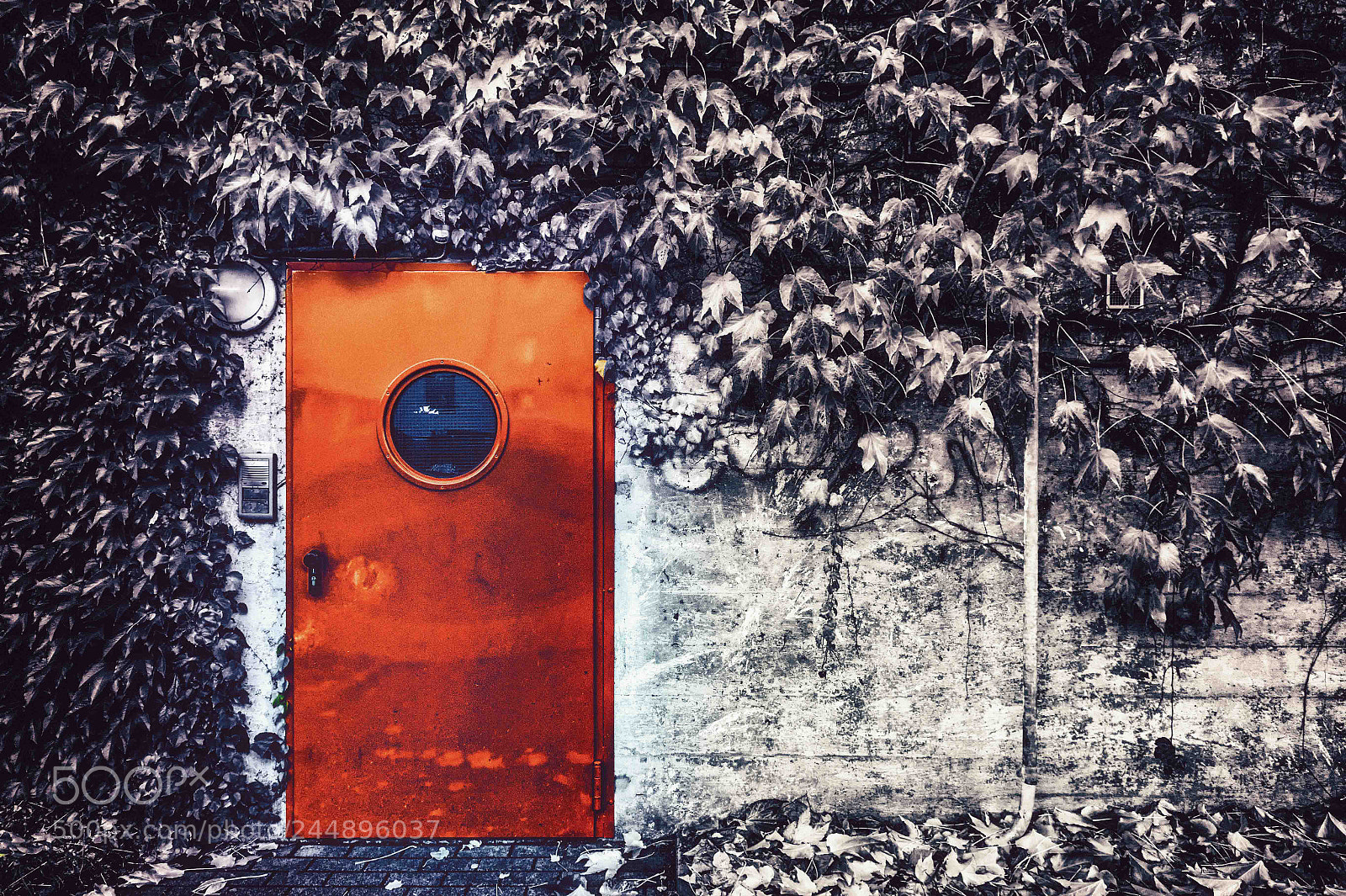 Sony SLT-A58 sample photo. Red door photography