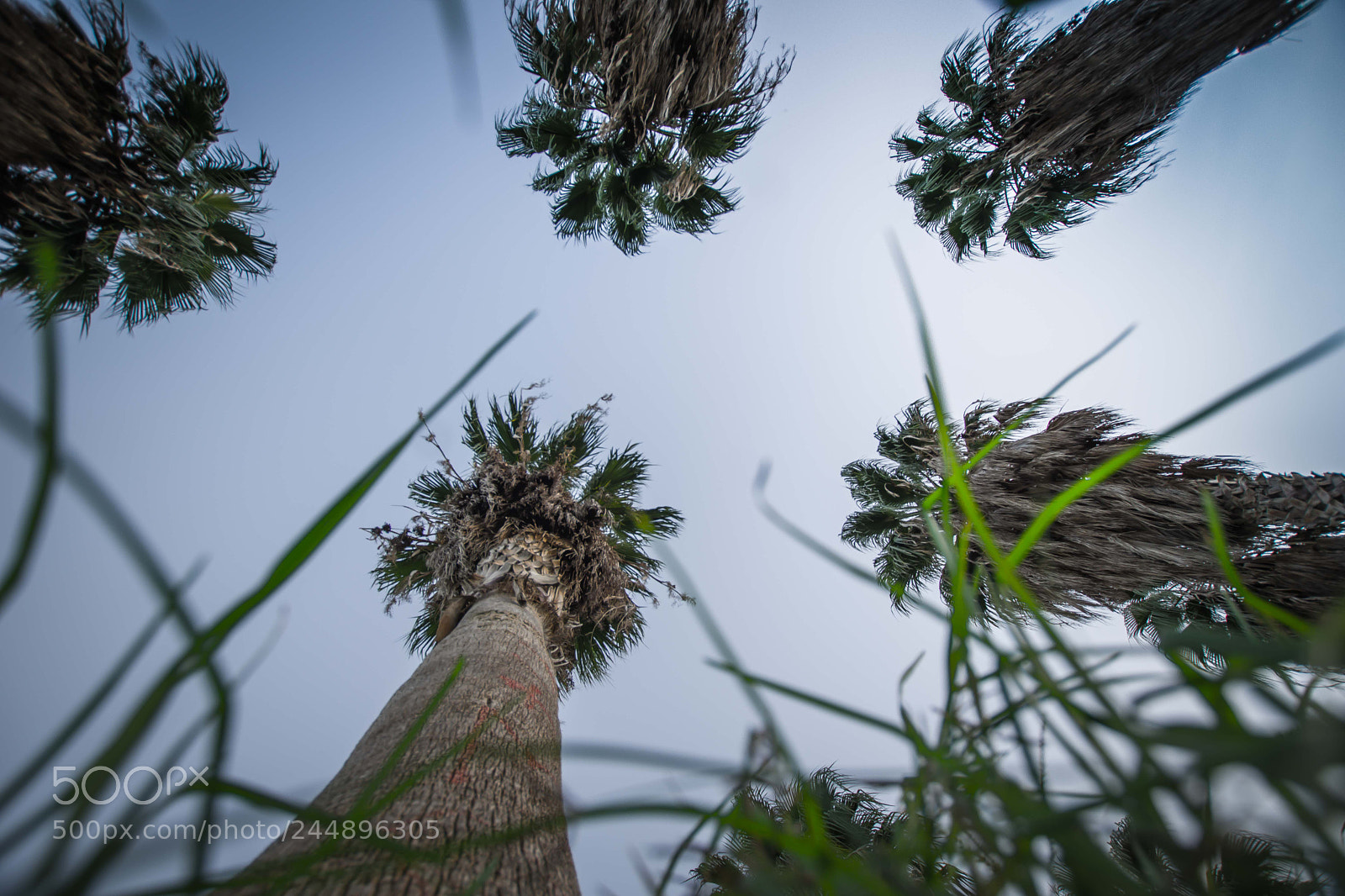 Pentax K-70 sample photo. Sempre pi in alto photography