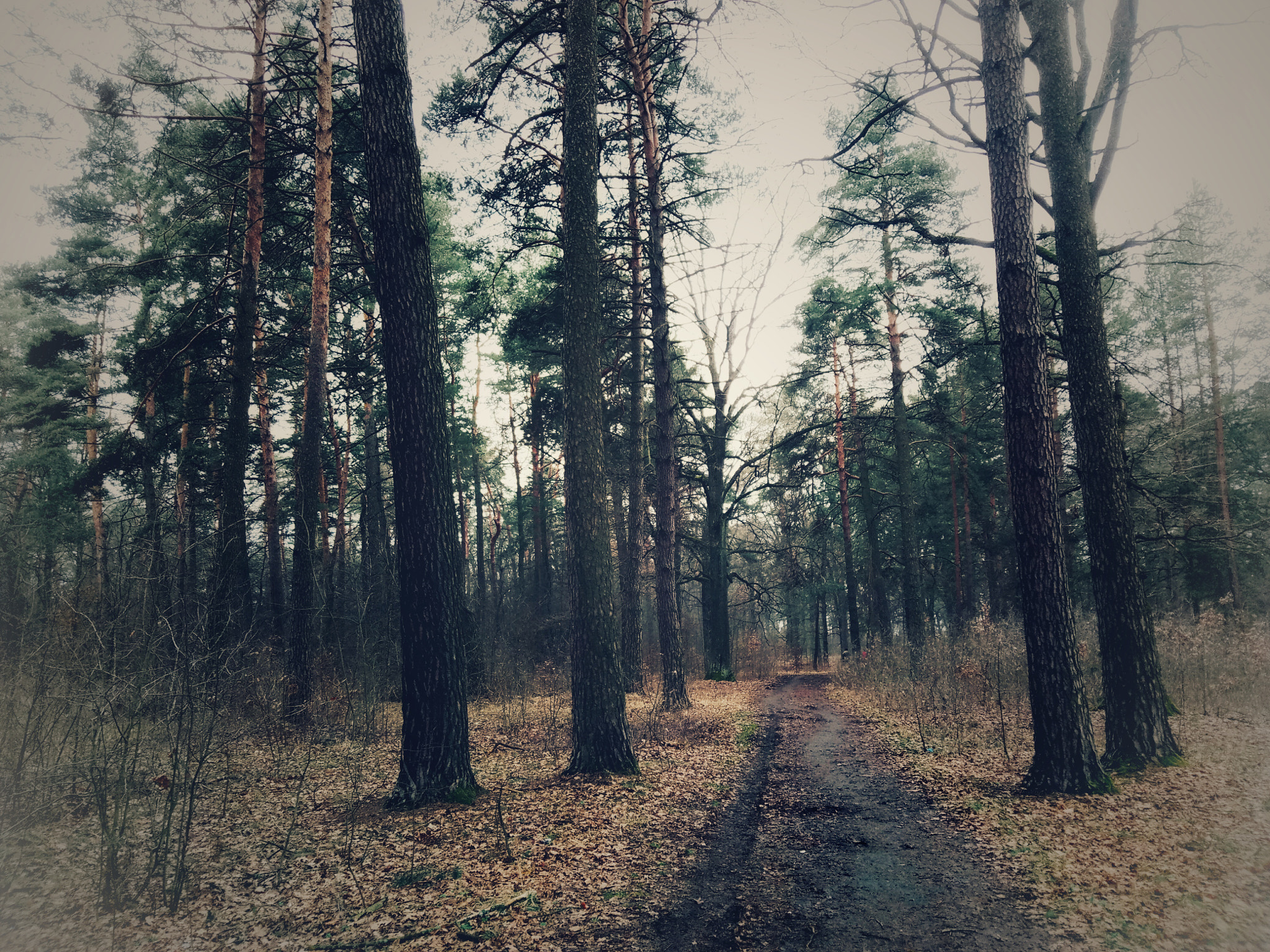 Meizu U20 sample photo