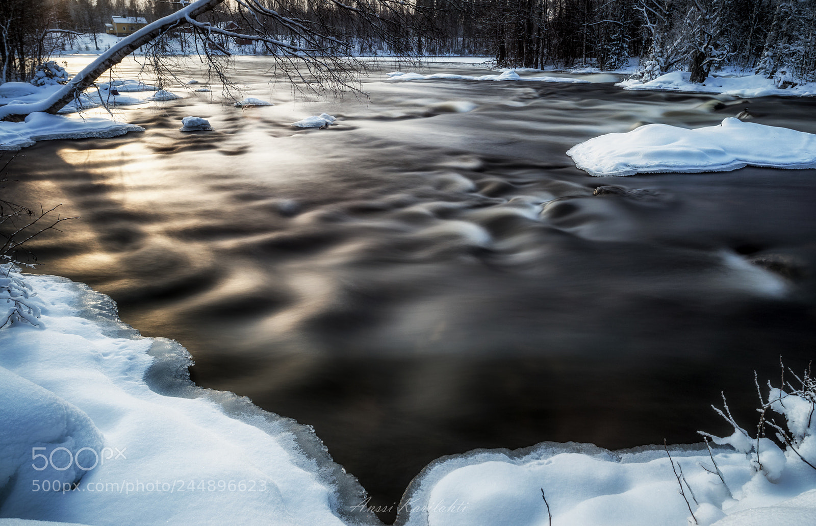Nikon D600 sample photo. Light in water photography