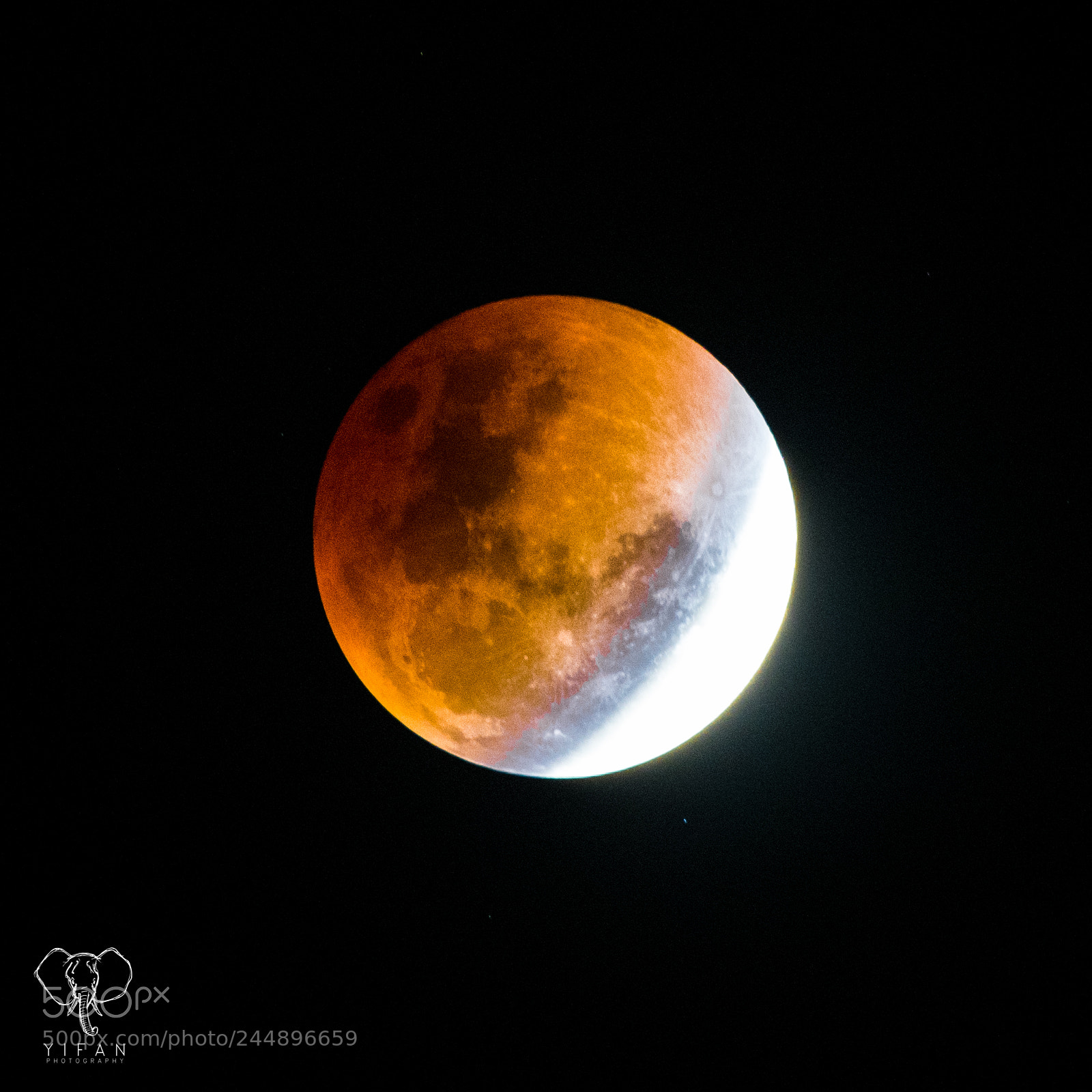 Nikon D850 sample photo. Super blue blood moon photography