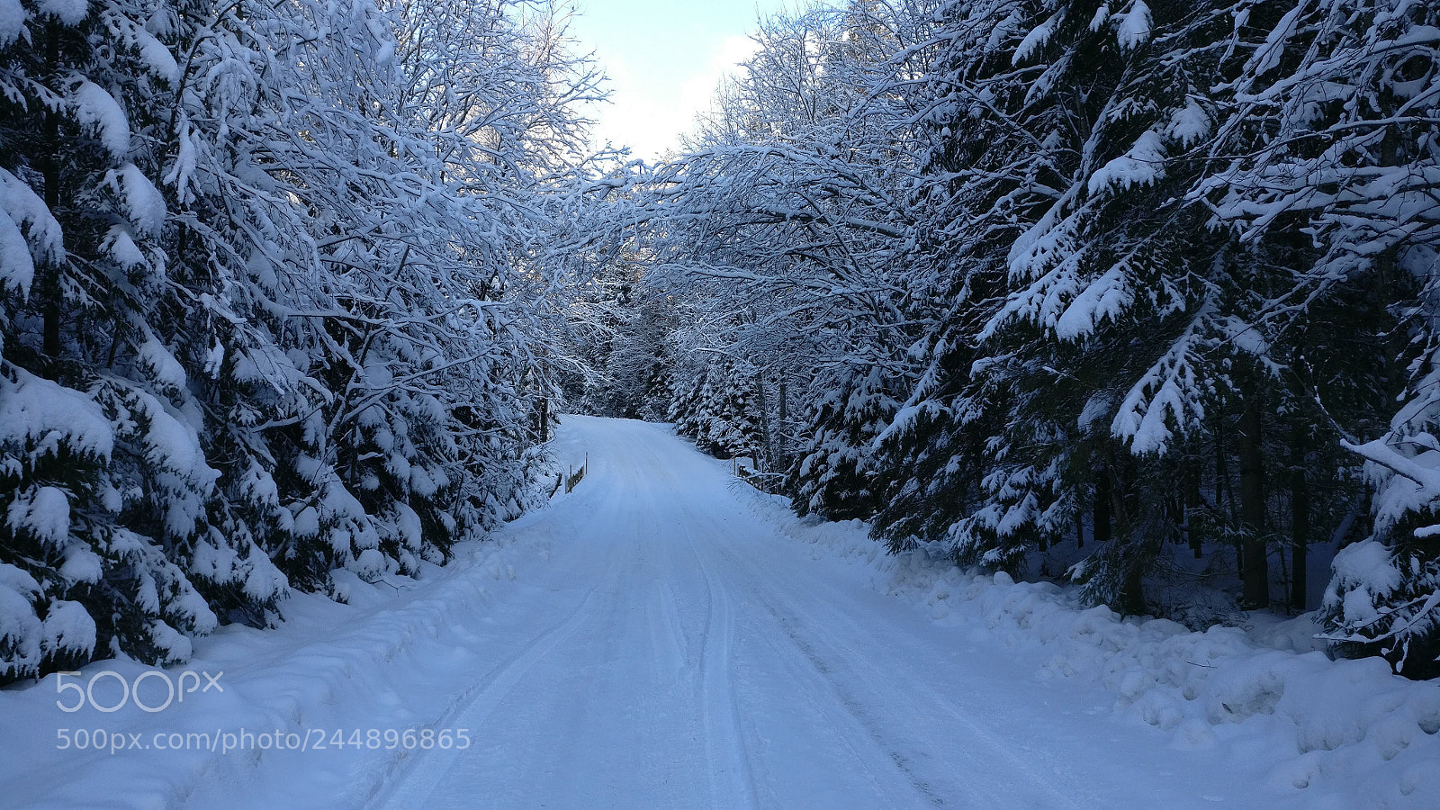 OnePlus A3003 sample photo. Road in the winter photography