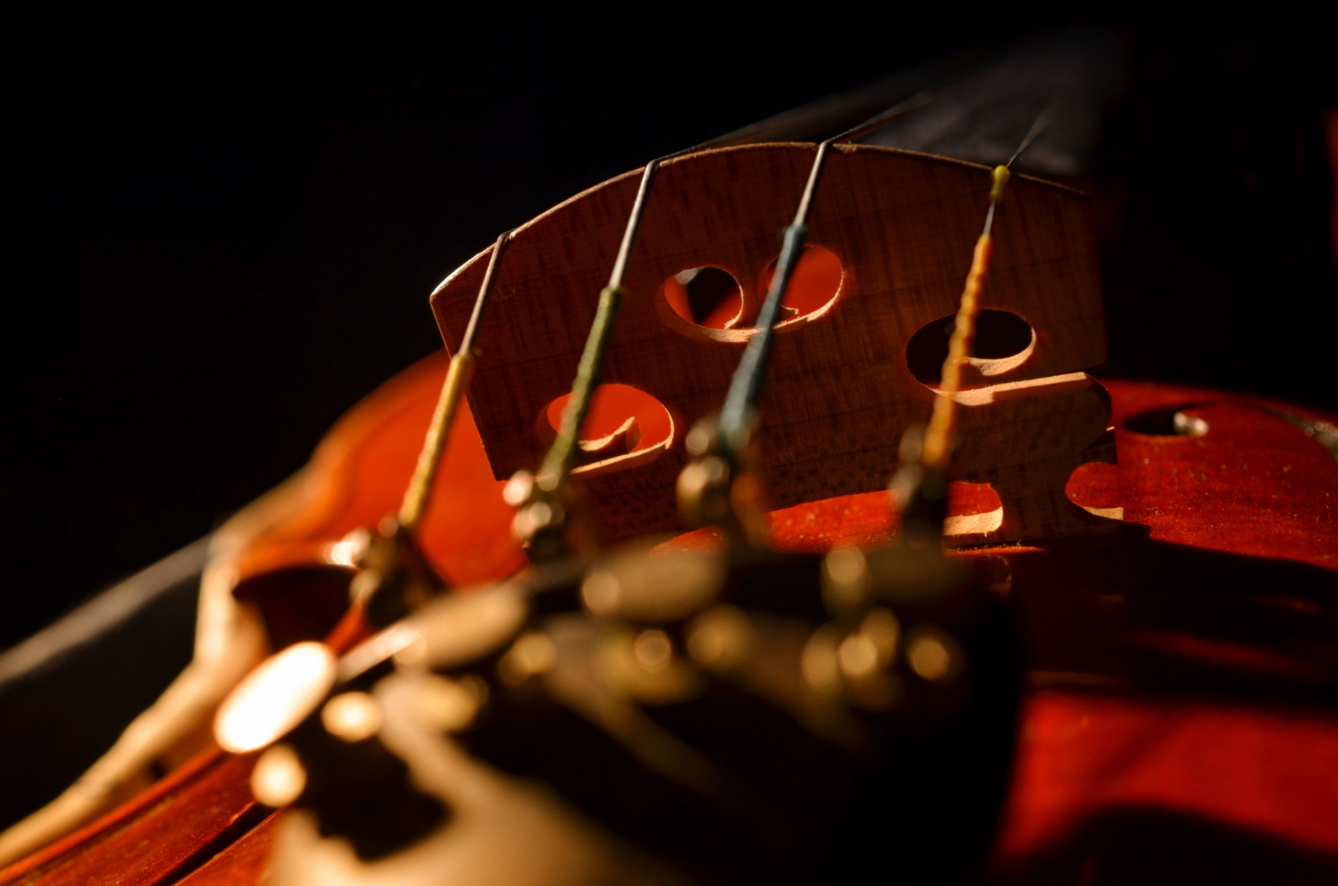 Nikon AF-S DX Micro Nikkor 40mm F2.8 sample photo. Violine photography