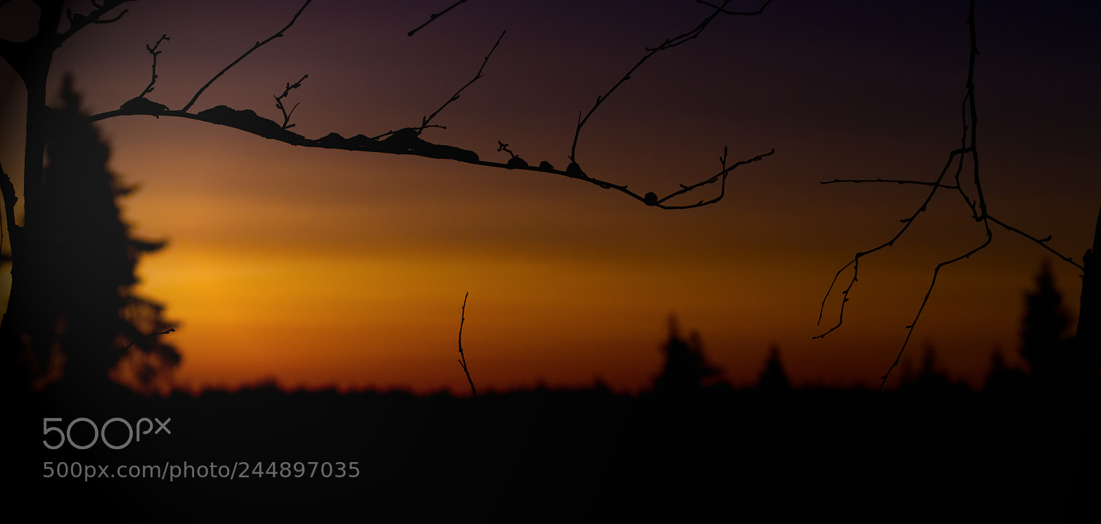 Olympus OM-D E-M10 II sample photo. Nice sunset - 15 celsius photography