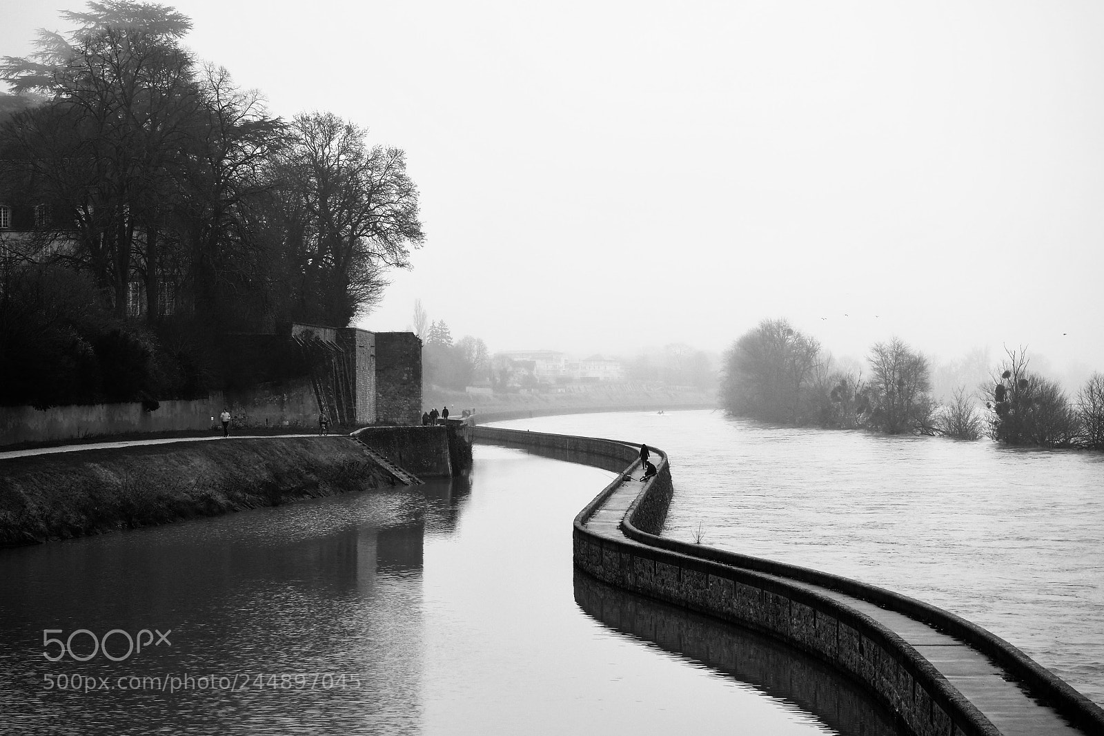 Olympus OM-D E-M1 Mark II sample photo. Loire river in fog photography
