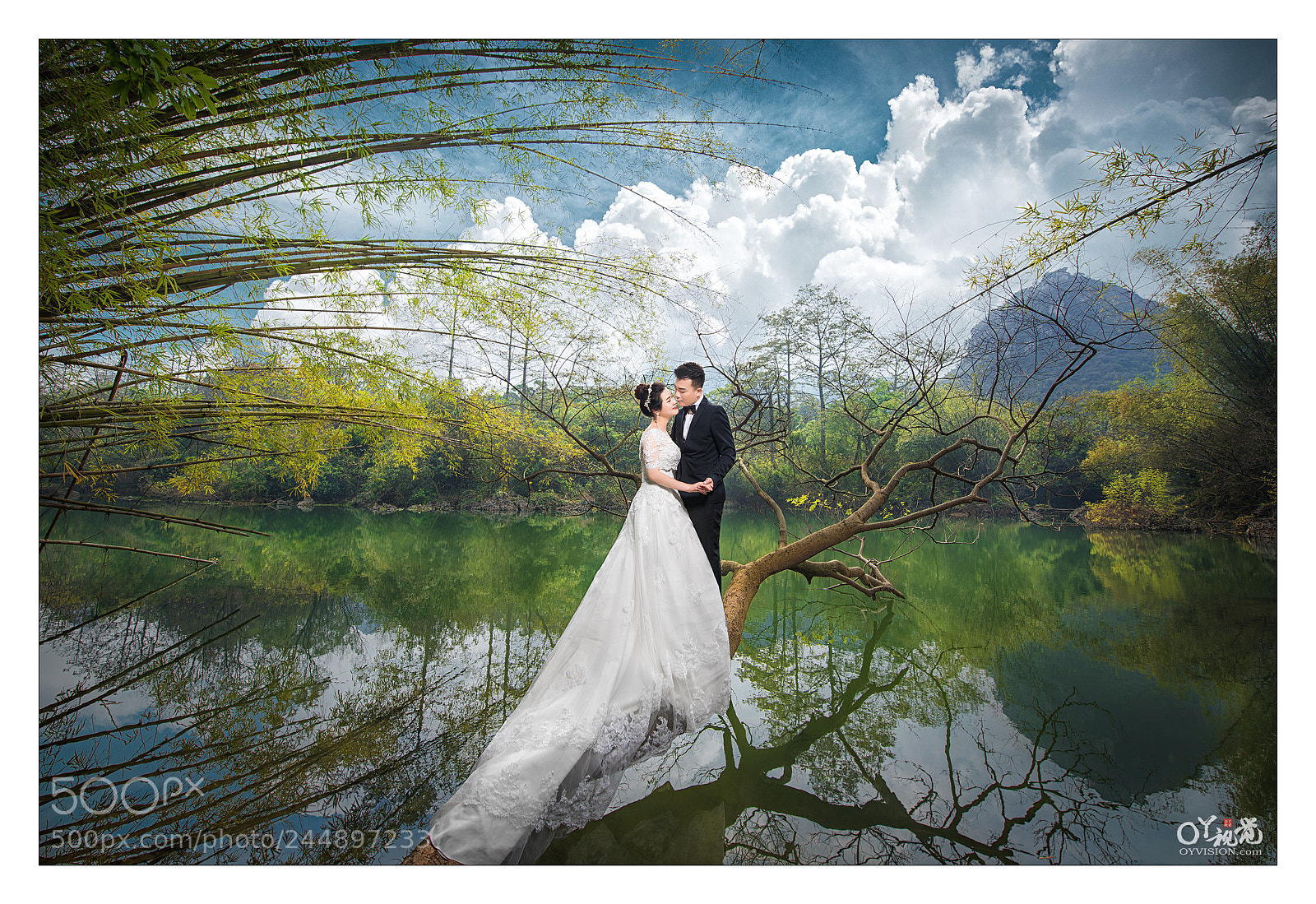 Nikon D810 sample photo. Untitled photography