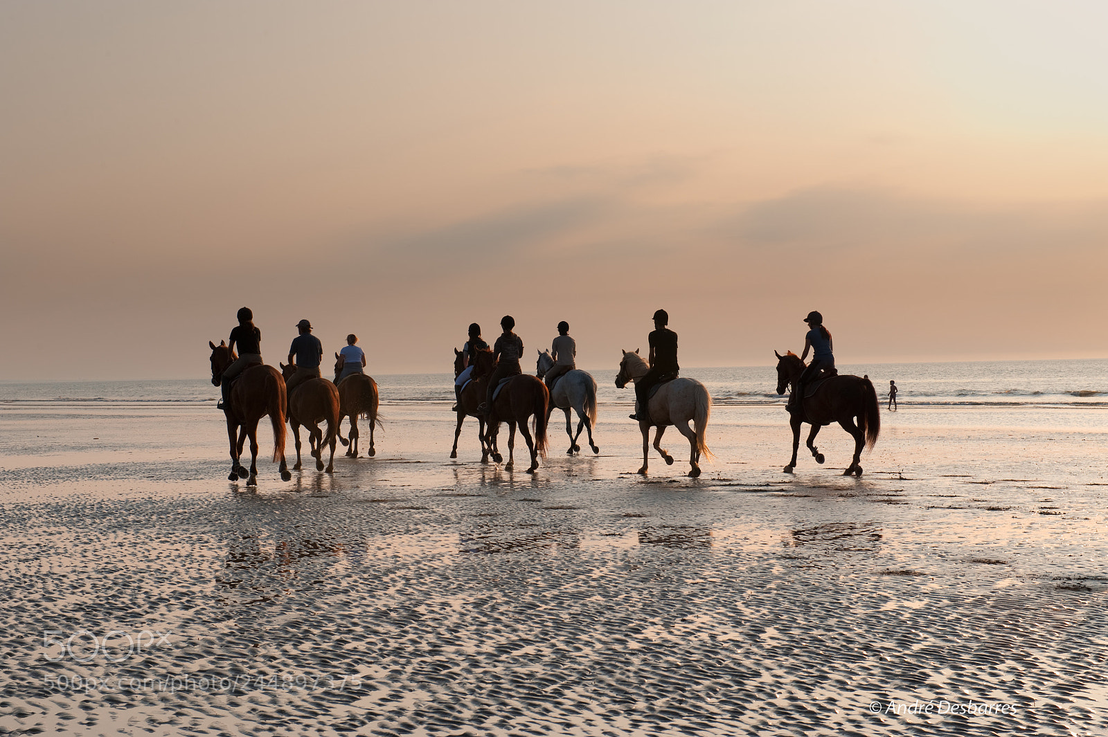 Nikon D3 sample photo. Deauville - france photography