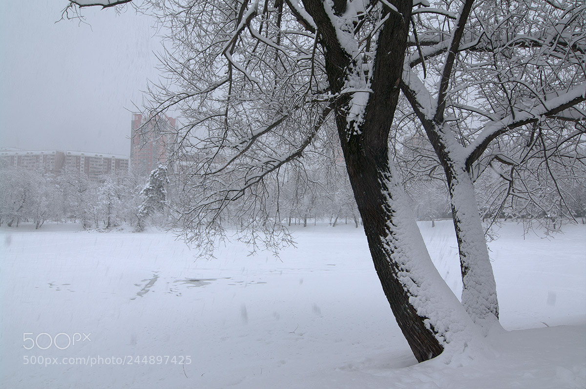Pentax K-7 sample photo. New region of moscow. photography
