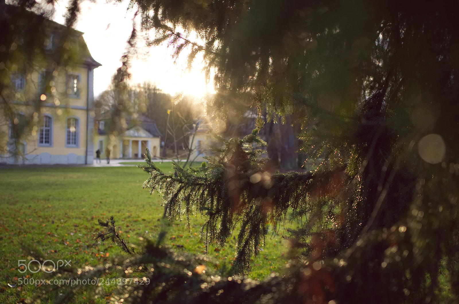 Nikon D5100 sample photo. Soft gleam photography
