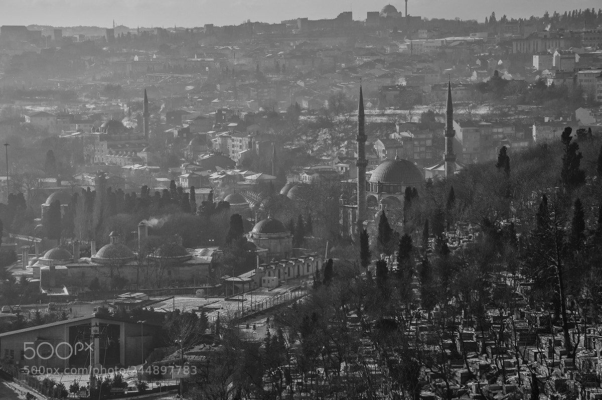Nikon D90 sample photo. Black&white lifes photography
