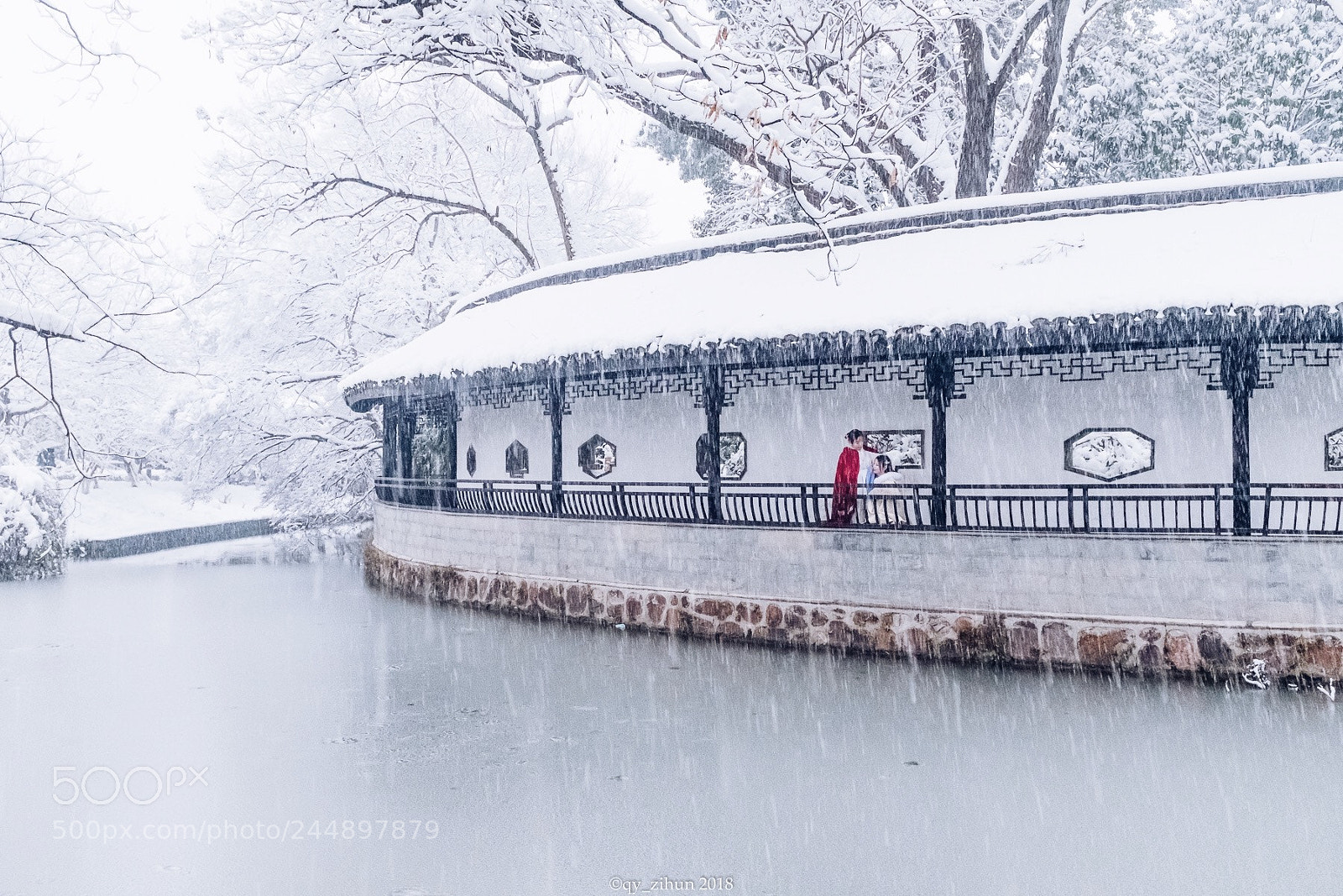Fujifilm X100F sample photo. 雪 photography