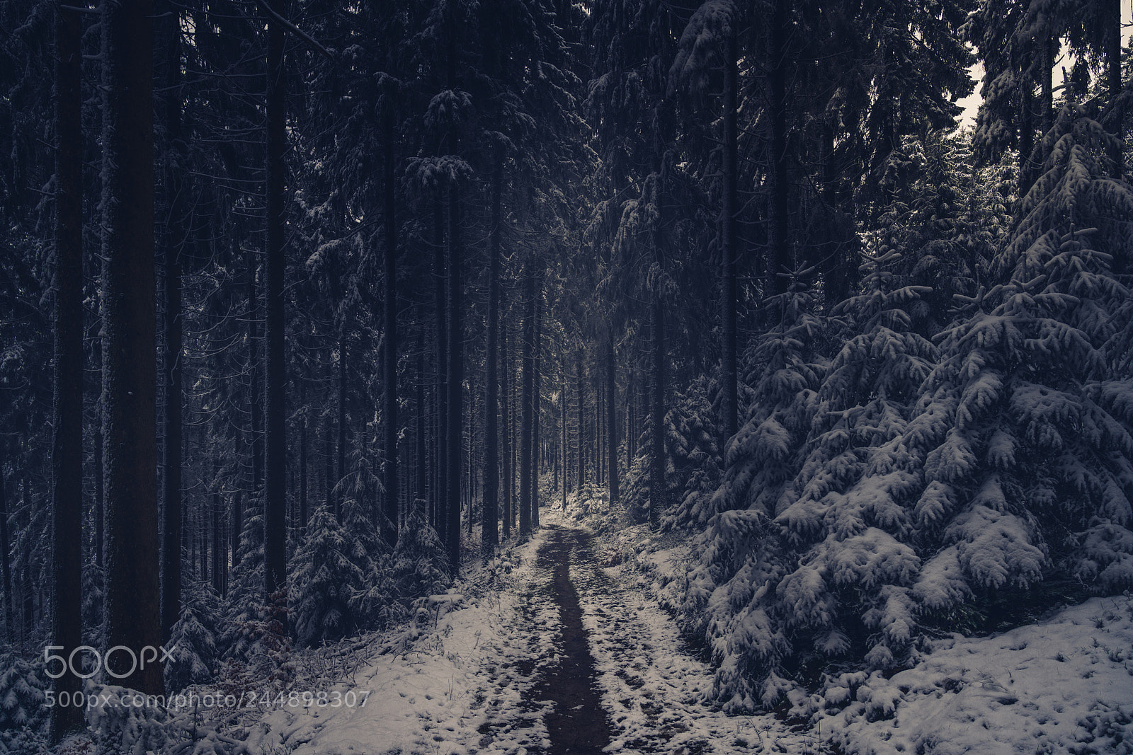 Sony a7R II sample photo. Http://weinheim.photos photography