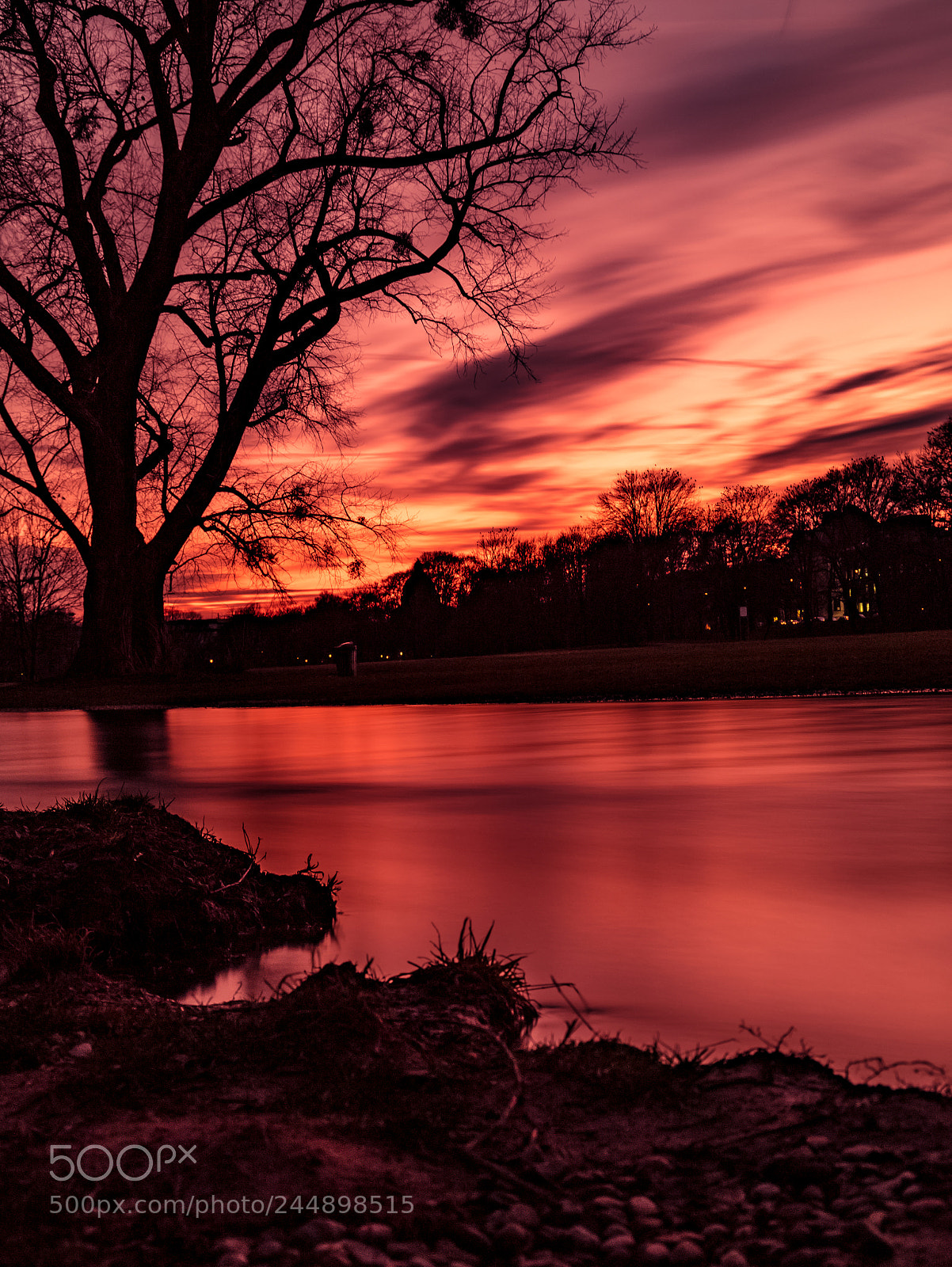 Canon EOS 6D Mark II sample photo. Red sunset photography