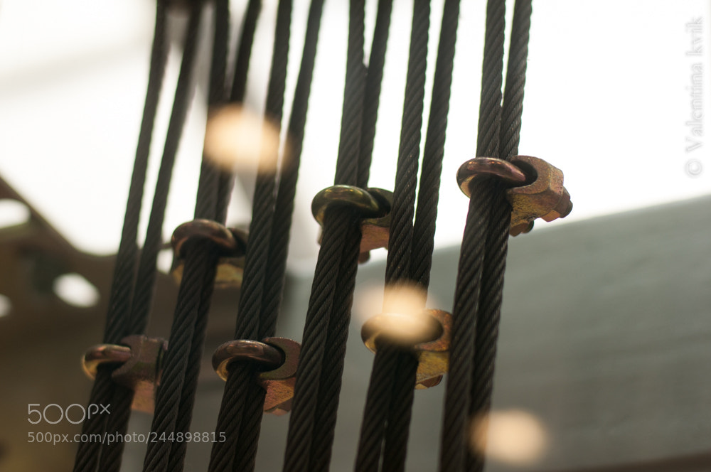 Nikon D300 sample photo. Movement and strength photography