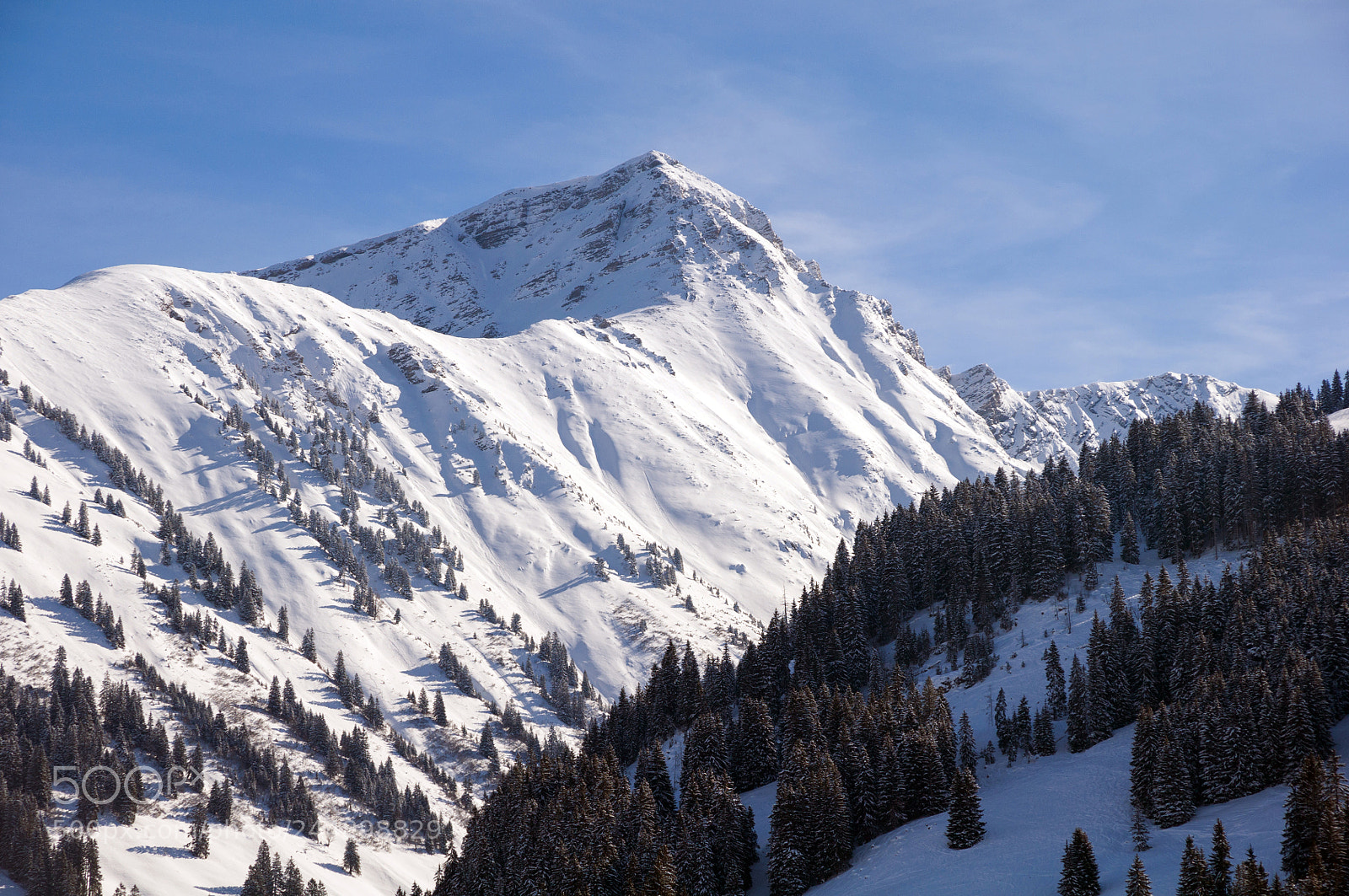Nikon D90 sample photo. 02152: giferhorn photography