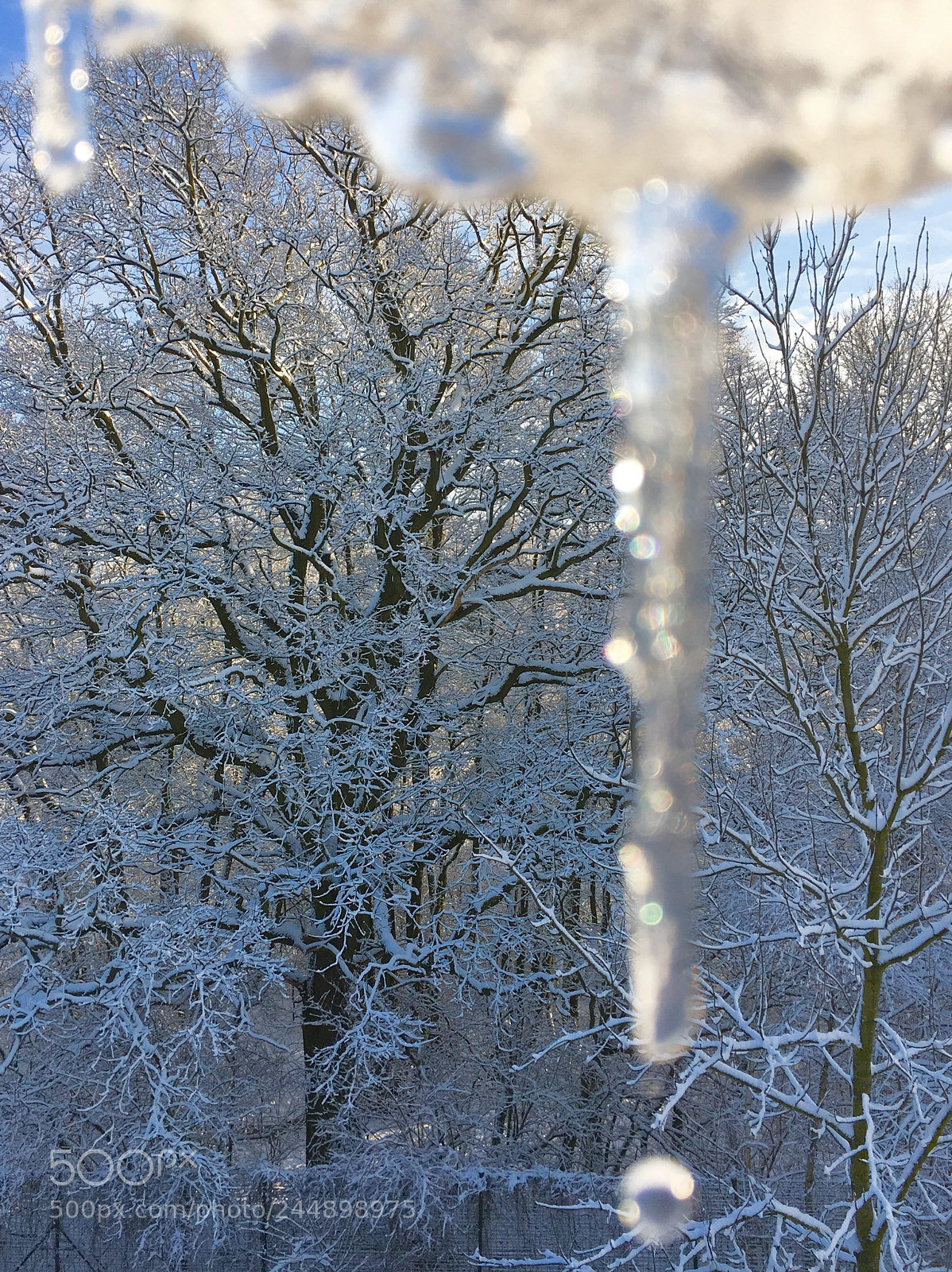 Apple iPhone 6s sample photo. Melting under the rays photography