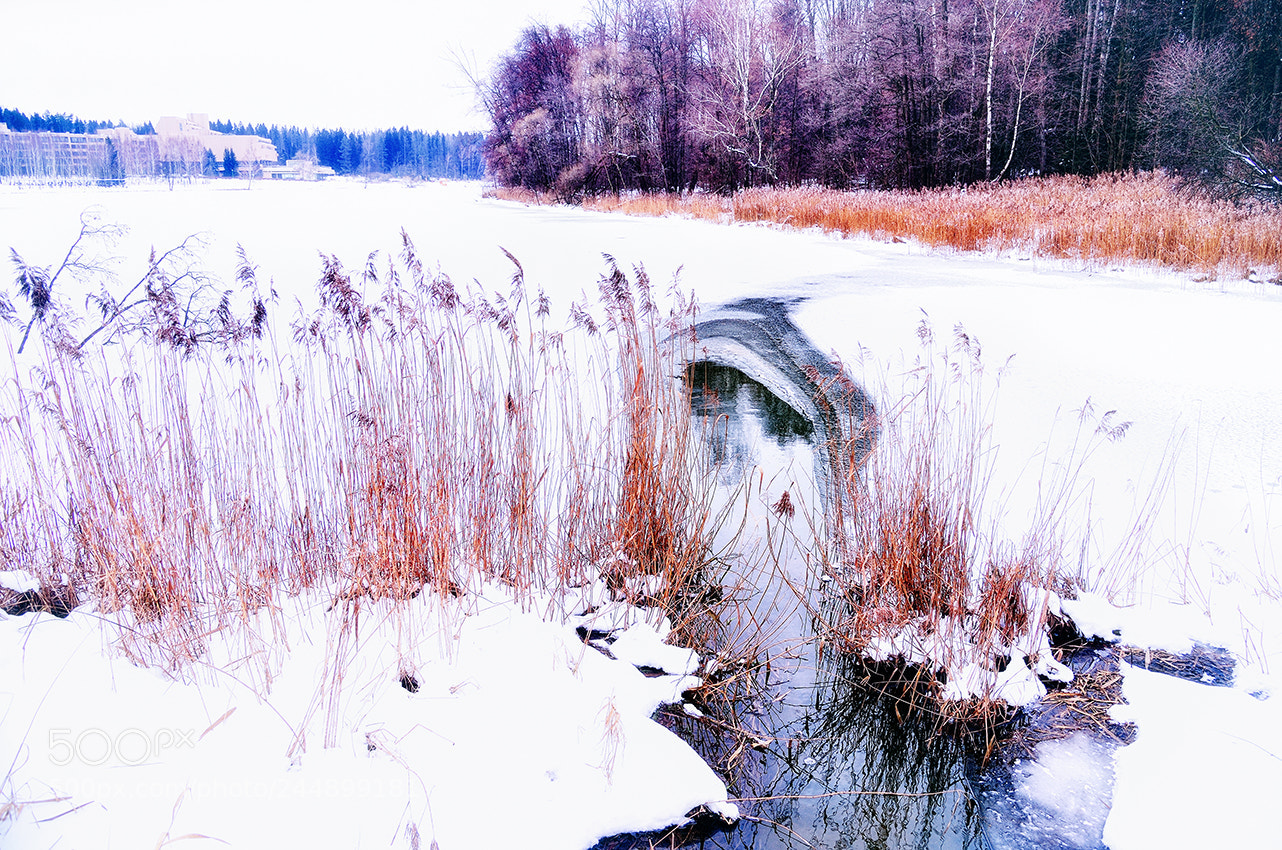 Nikon Df sample photo. Untitled photography
