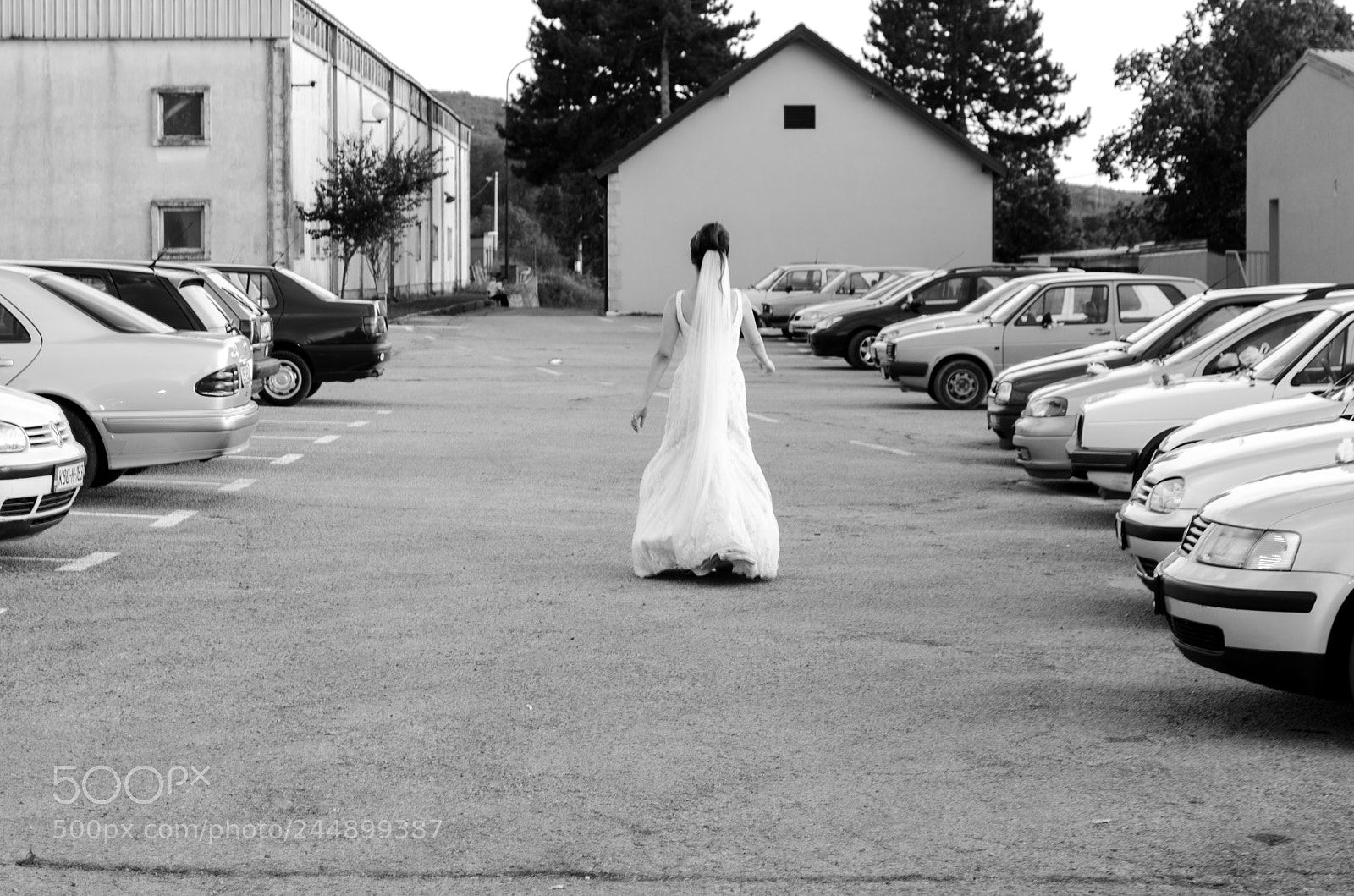Nikon D5100 sample photo. Untitled photography