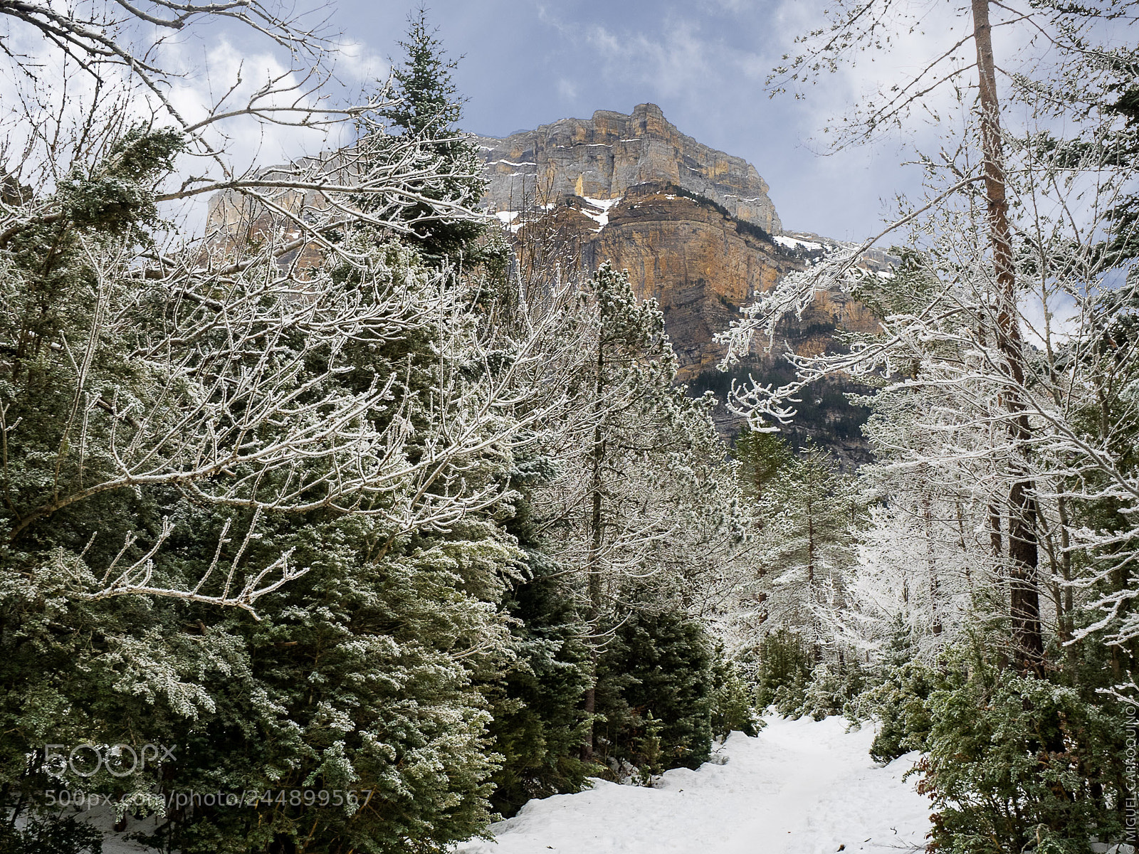 Olympus OM-D E-M1 sample photo. Frozen mountain photography