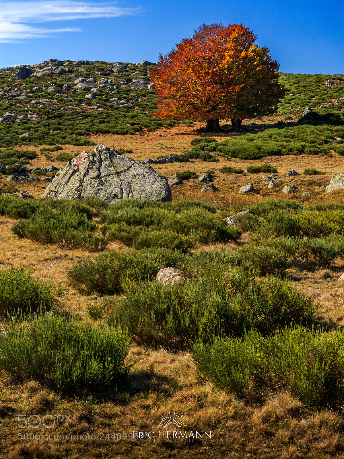 Canon EOS 7D Mark II sample photo. Automne en lozère photography