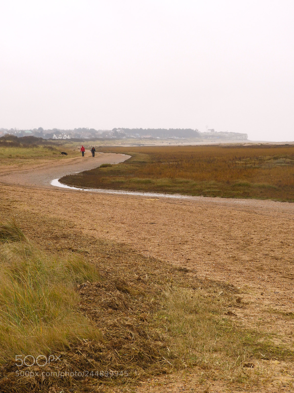 Nikon Coolpix B700 sample photo. Bleak shore photography