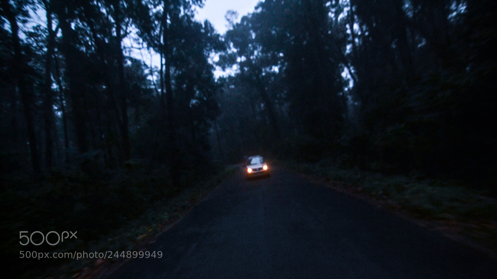 Nikon D3100 sample photo. Mystery with mist photography