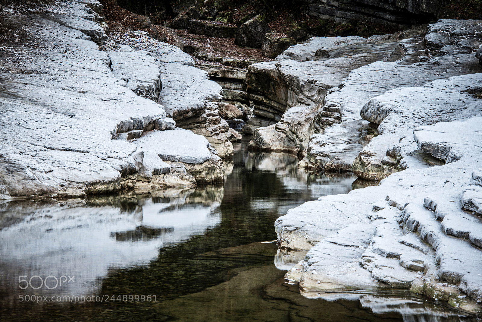 Nikon D800 sample photo. Taugl photography