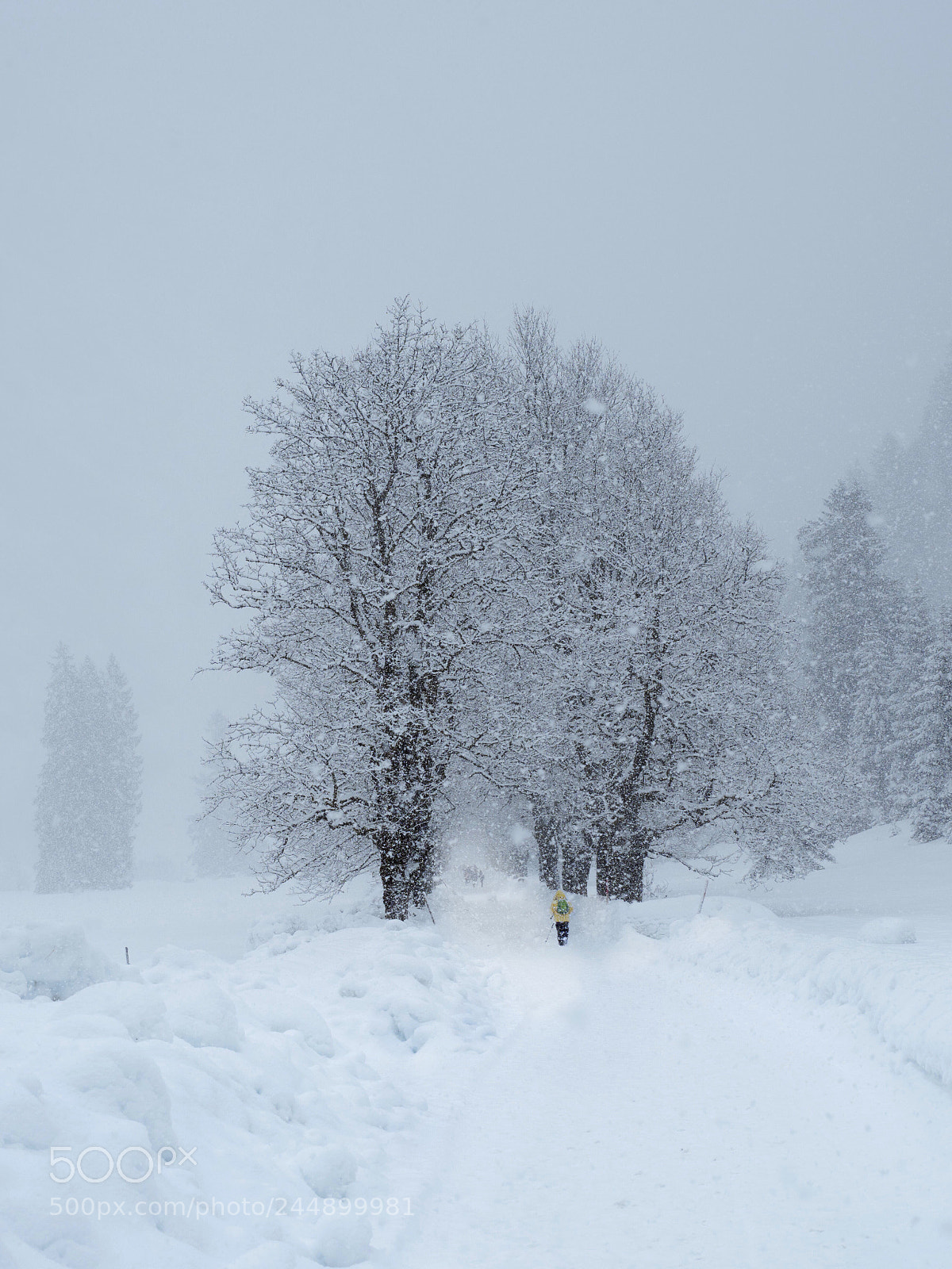 Olympus OM-D E-M1 Mark II sample photo. Winter hike photography