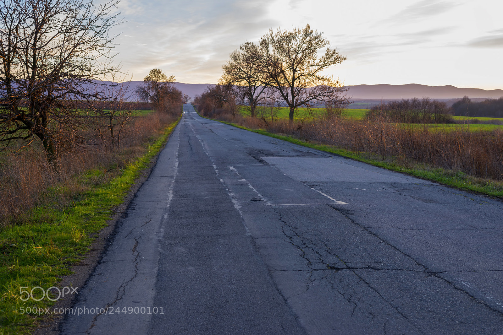 Nikon D610 sample photo. Country road during sunset photography