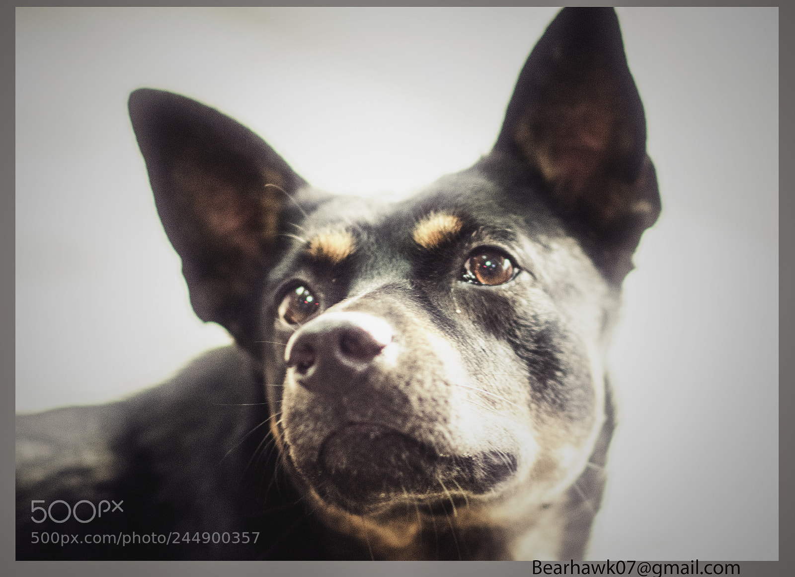 Nikon D7200 sample photo. 561.jpg photography