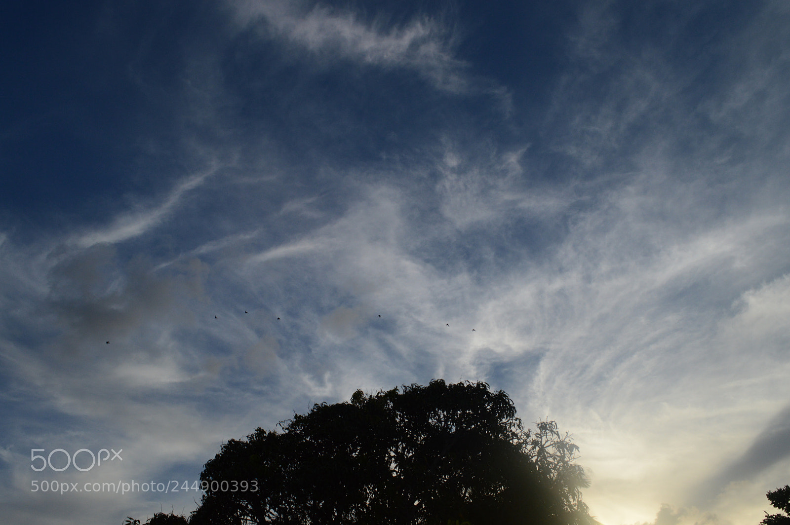 Nikon D3200 sample photo. Eye in the sky photography