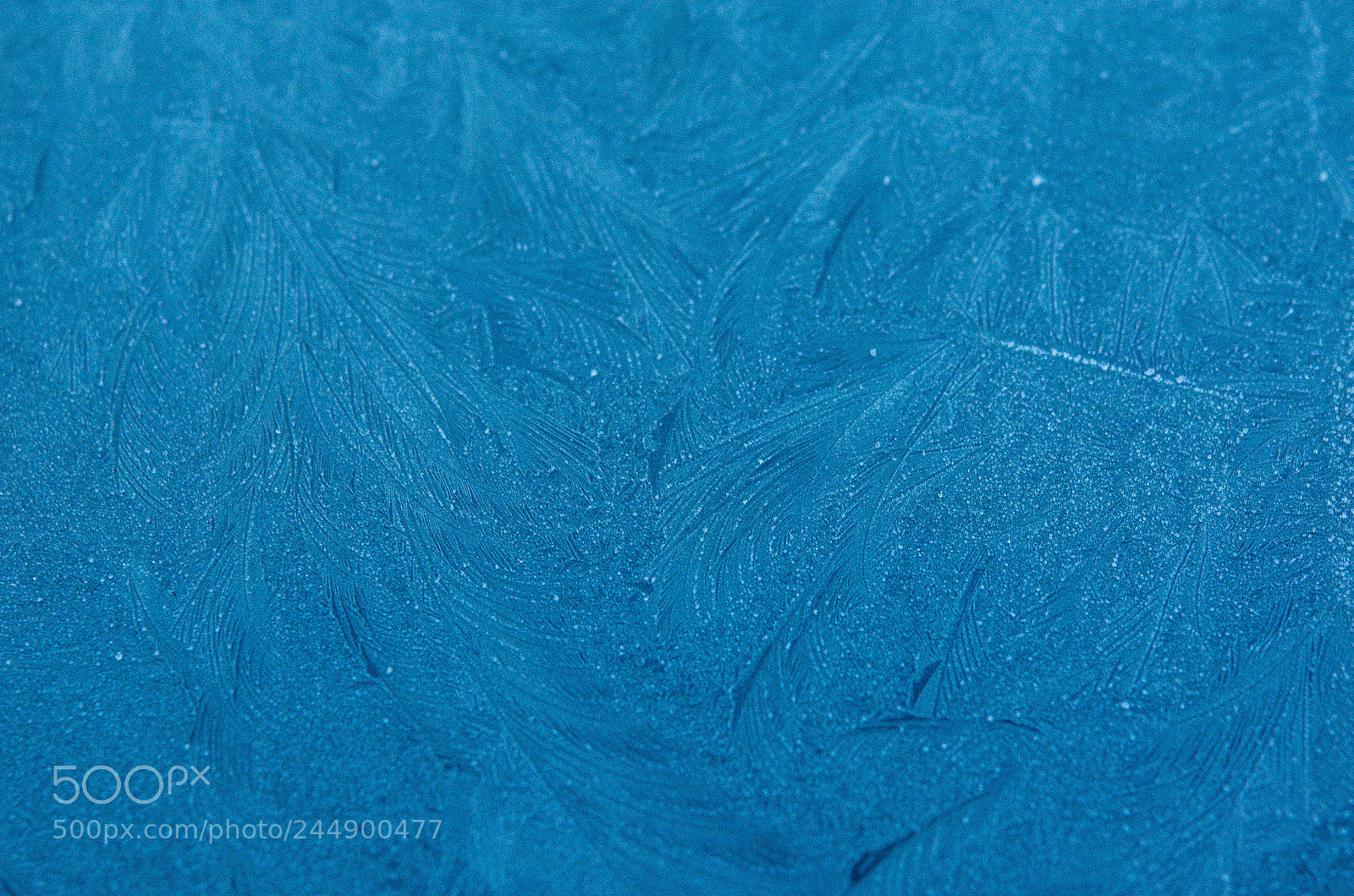 Nikon D5100 sample photo. Glace photography
