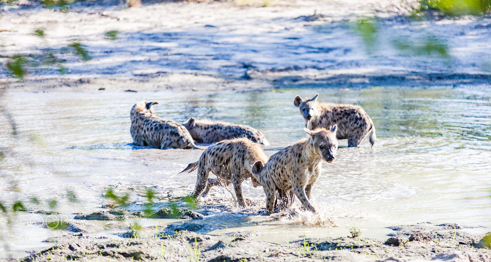 Canon EOS 5DS R sample photo. 5dsr8824.jpg photography