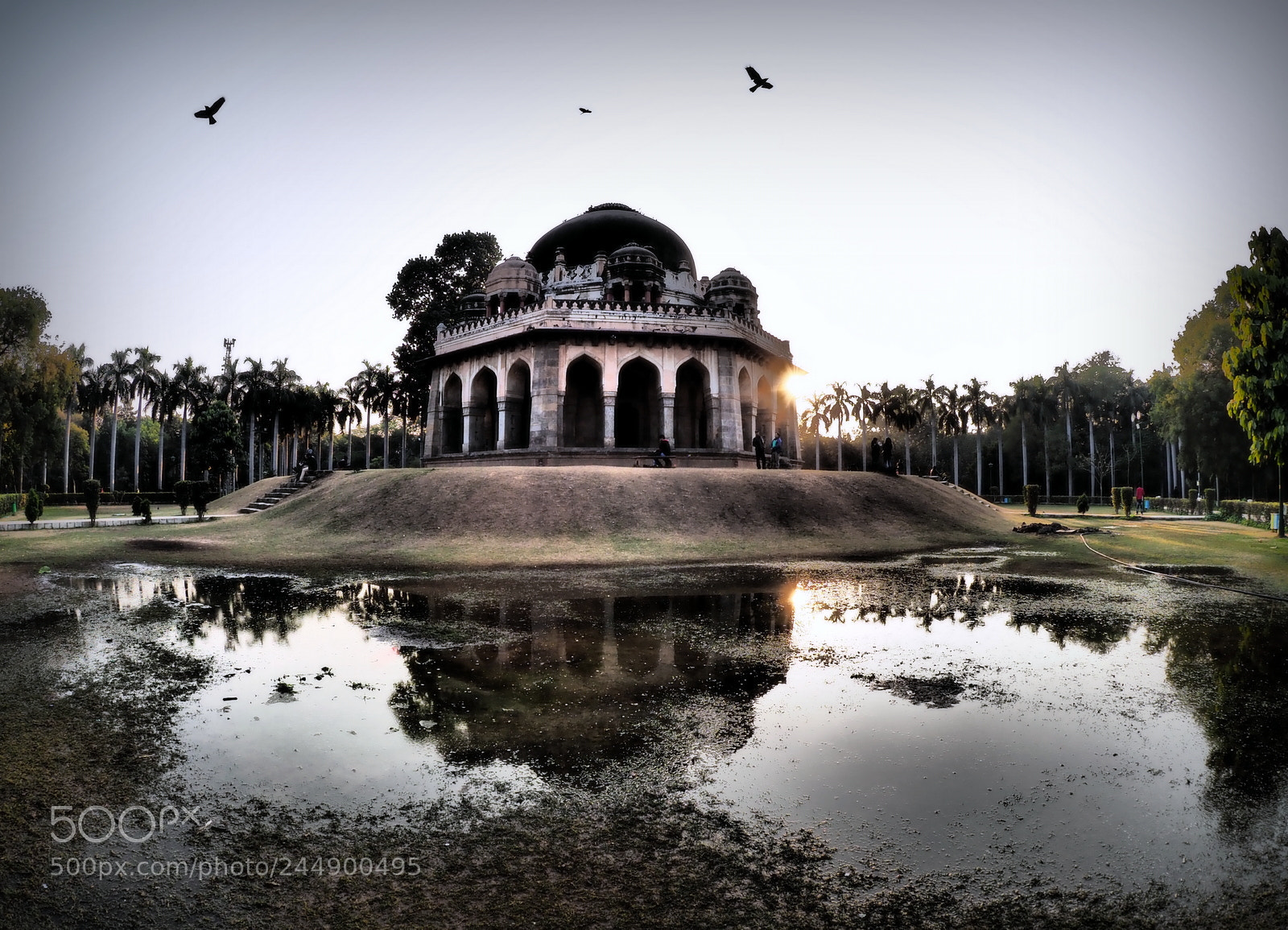 Olympus OM-D E-M1 Mark II sample photo. Lodhi garden in winter photography