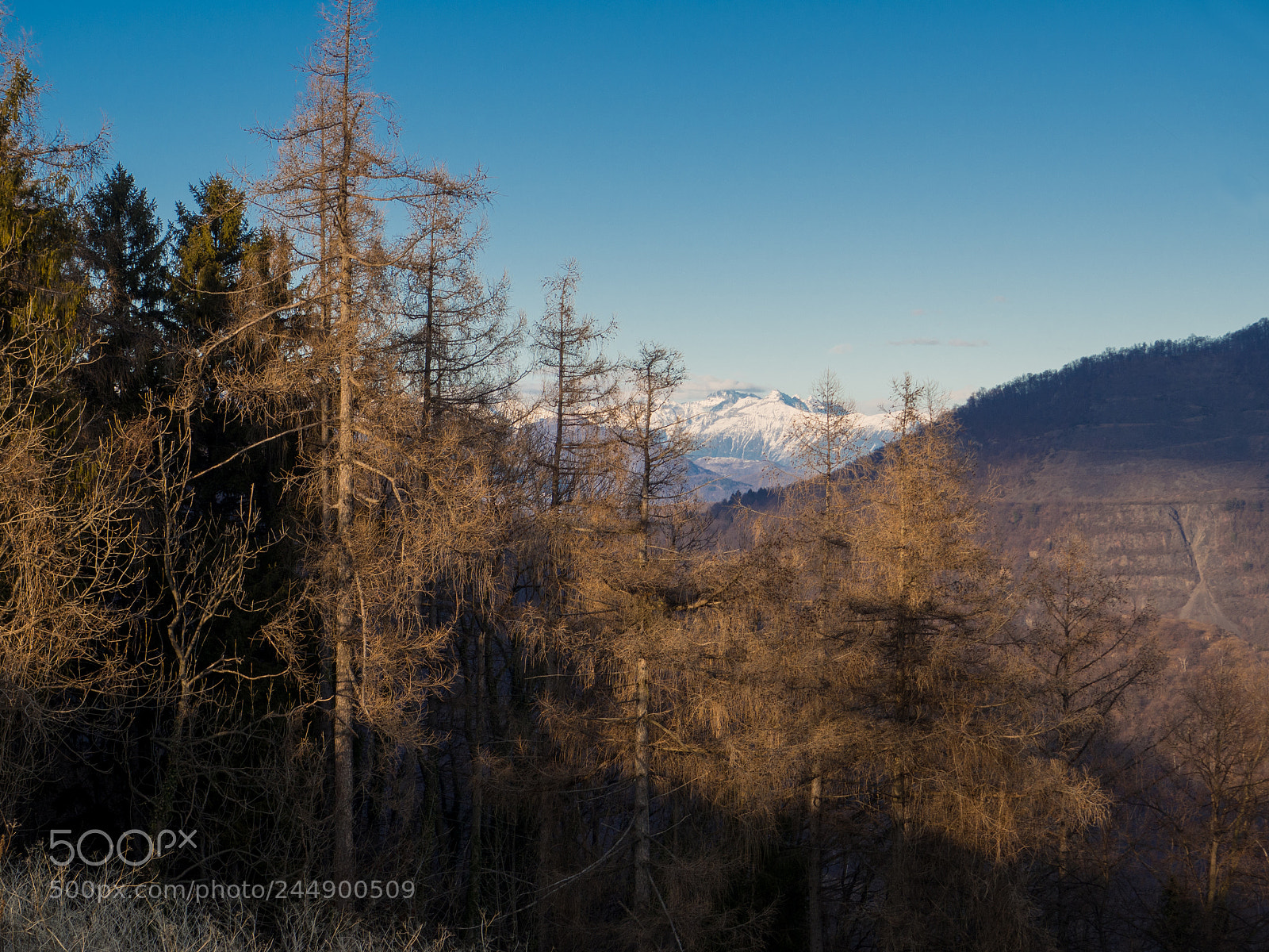 Olympus OM-D E-M10 II sample photo. Sacro monte photography
