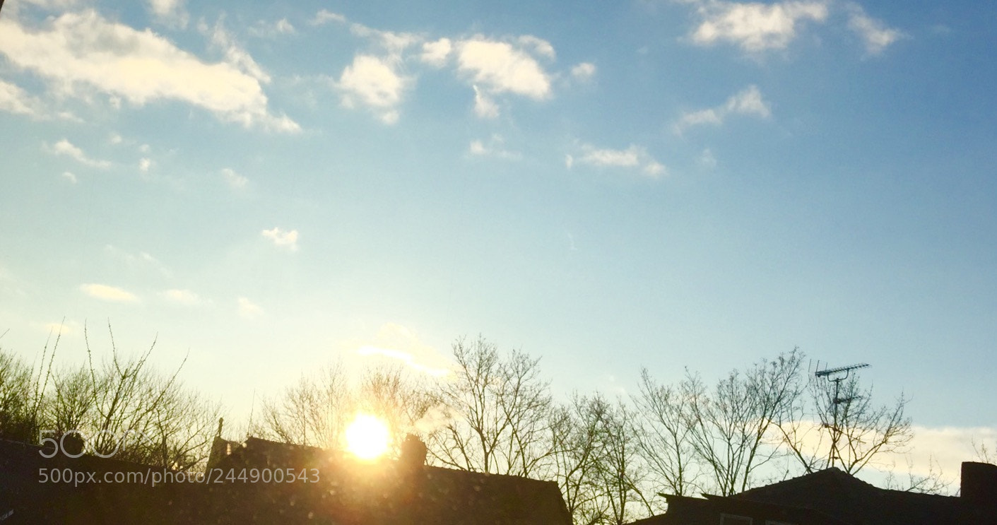Apple iPhone 6 sample photo. Untitled photography