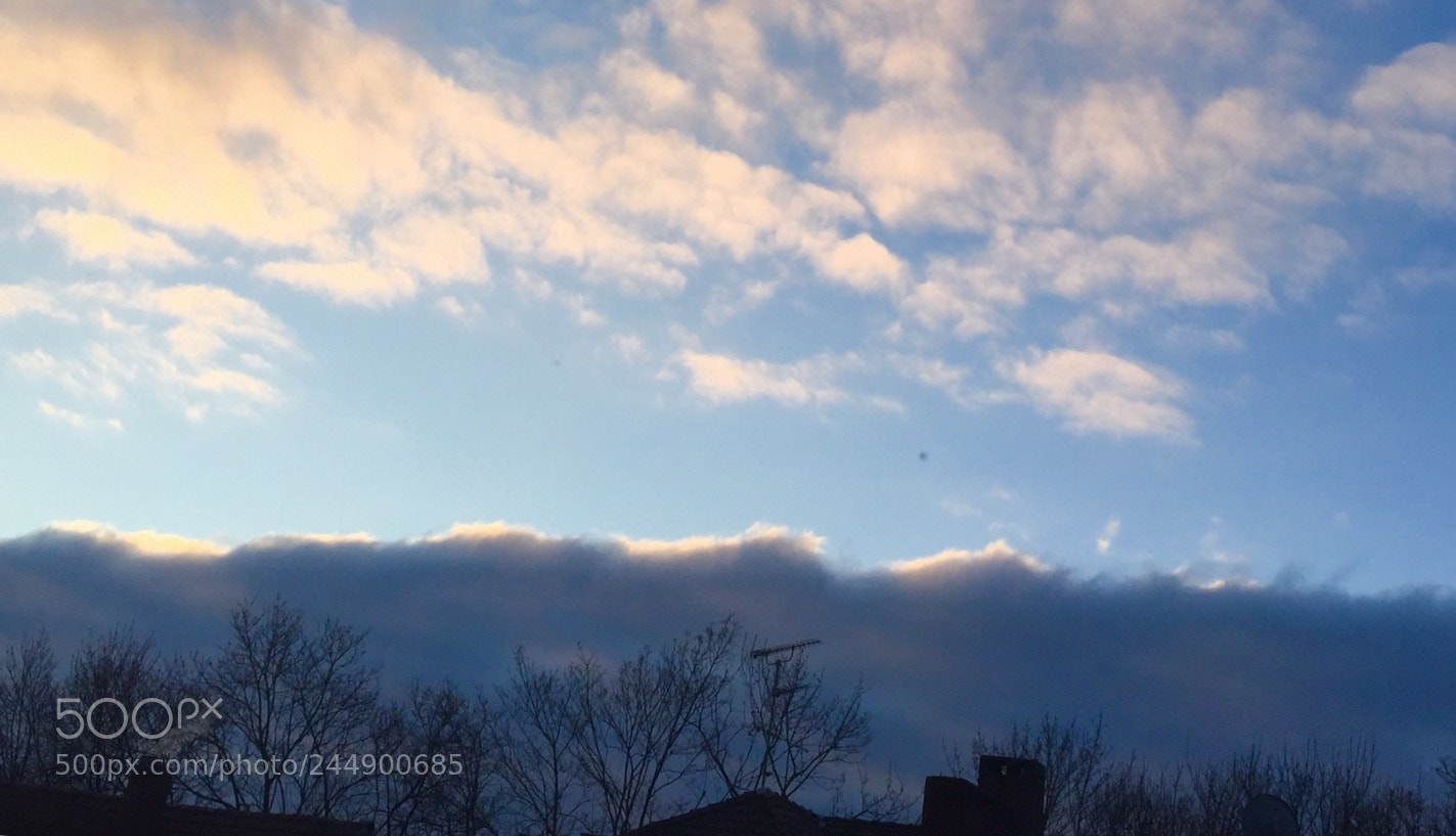 Apple iPhone 6 sample photo. Untitled photography