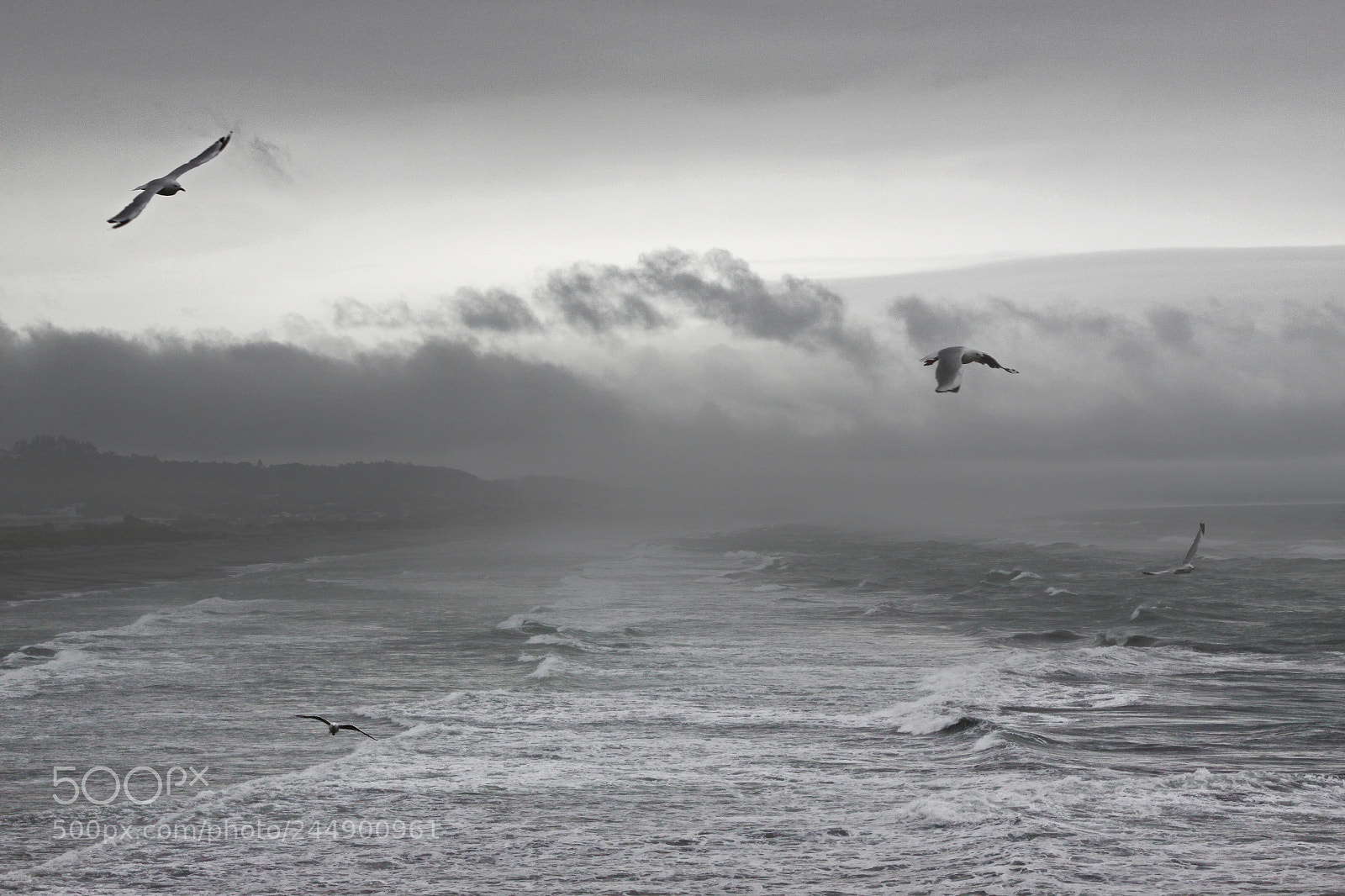 Canon EOS 50D sample photo. Greymouth breakwater photography
