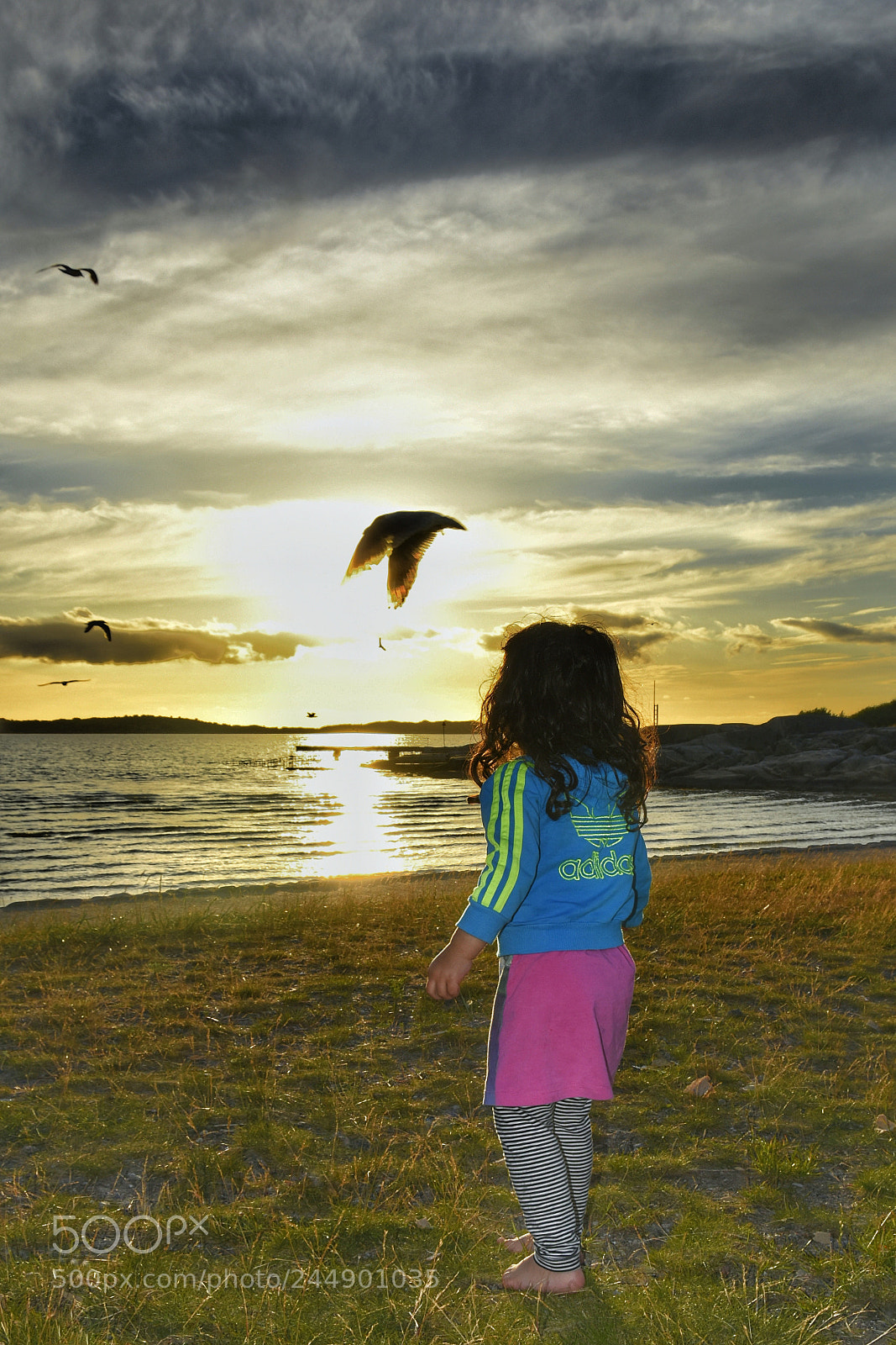 Nikon D7200 sample photo. Untitled photography