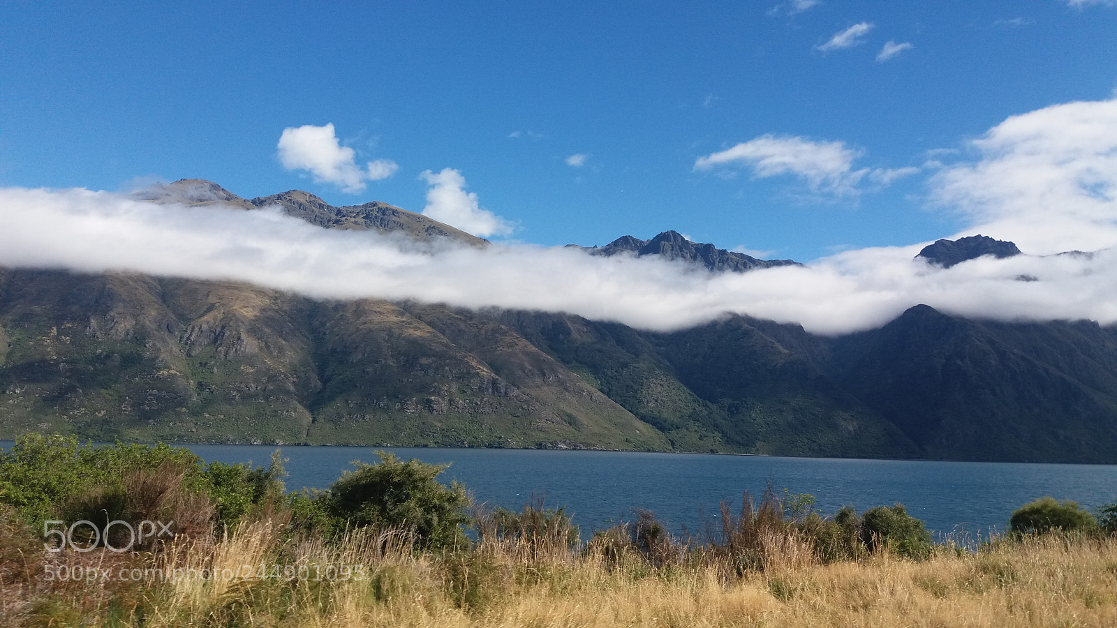Samsung Galaxy J5 sample photo. New zealand photography