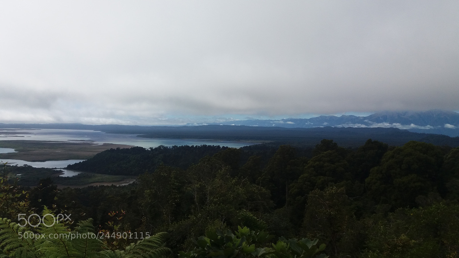 Samsung Galaxy J5 sample photo. New zealand photography