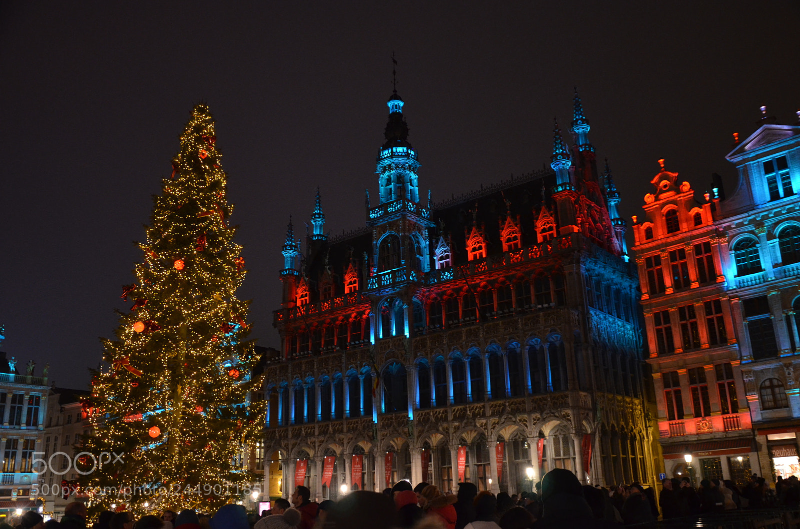 Nikon D5100 sample photo. Christmas time photography