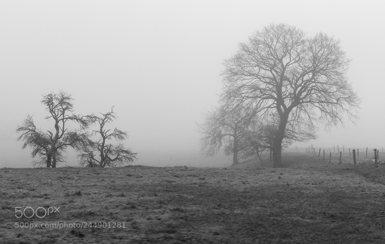 Fujifilm X100T sample photo. Wdcf photography