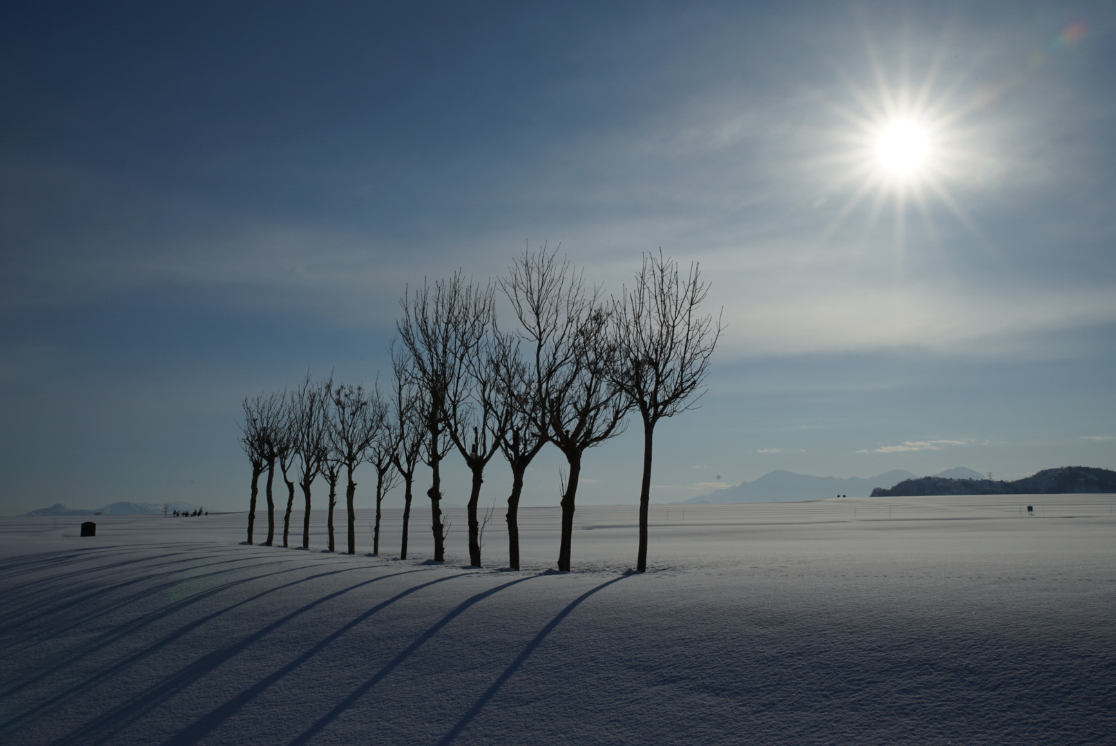 Sony a7 II + Canon EF 300mm F2.8L IS II USM sample photo. 雪原の稲架木 photography