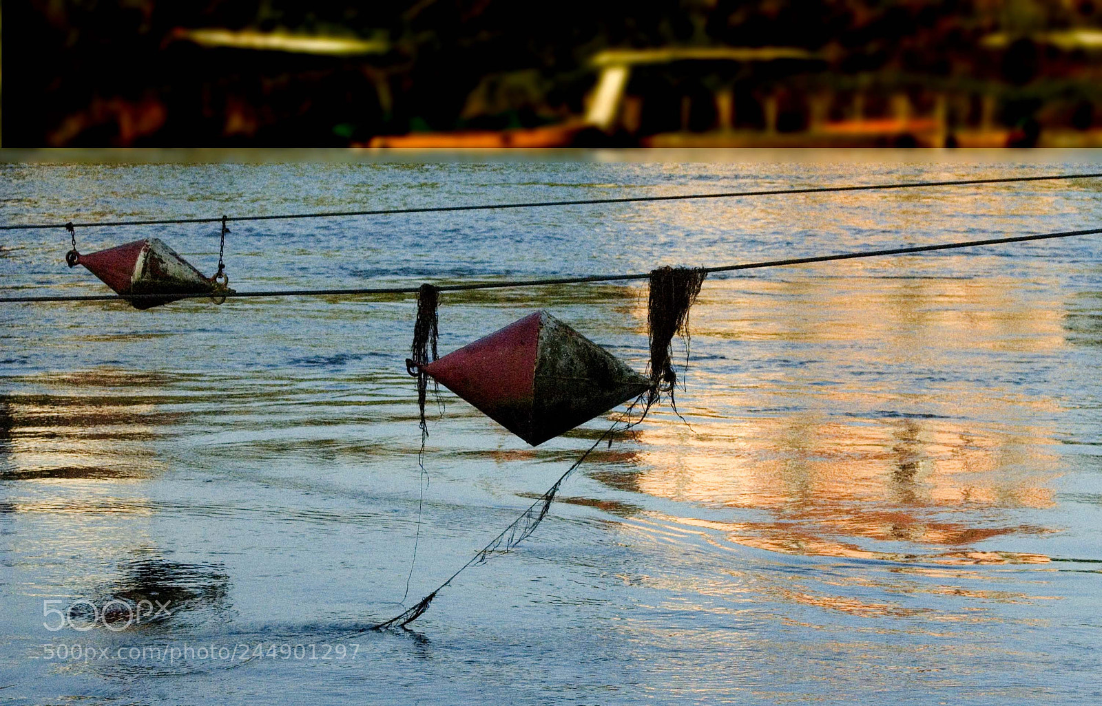 Nikon D70 sample photo. Fiume photography