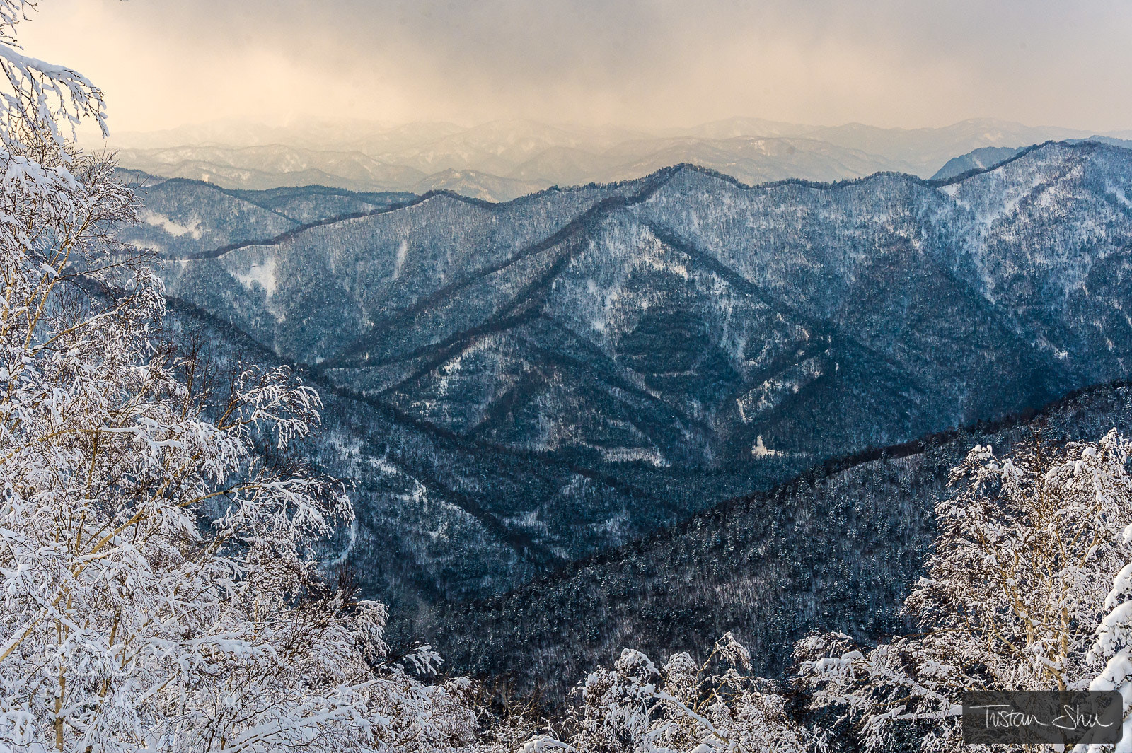 Nikon D4 sample photo. Japan mountains photography