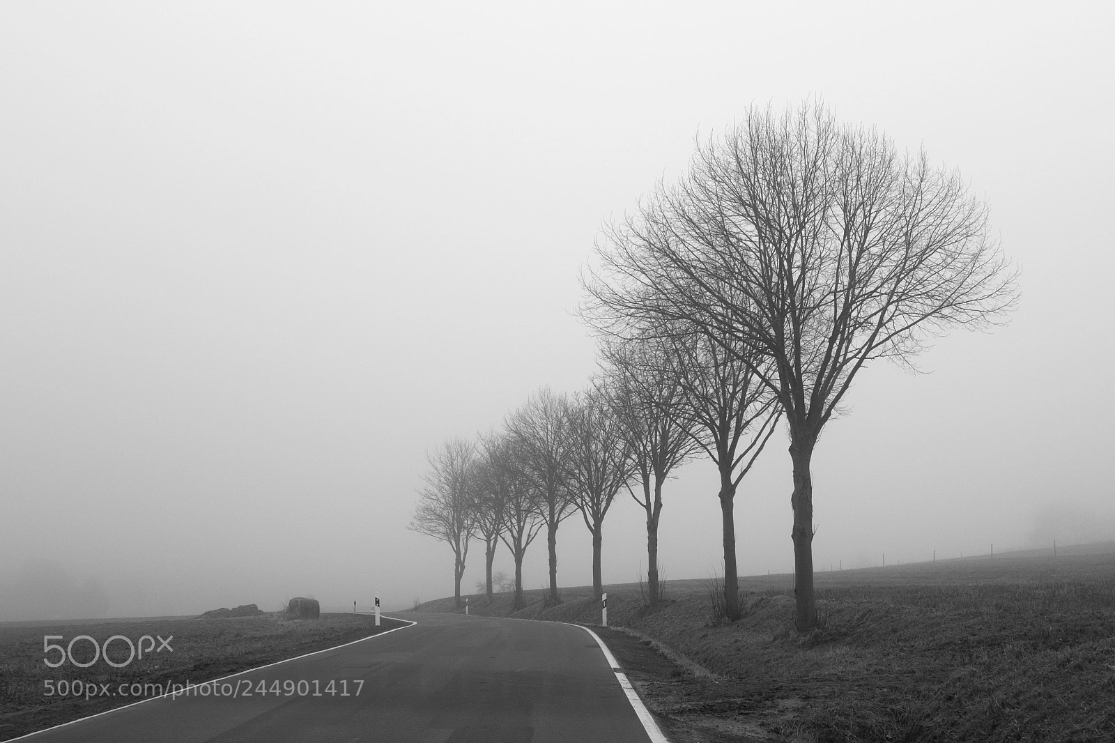 Fujifilm X100T sample photo. Wdcf photography