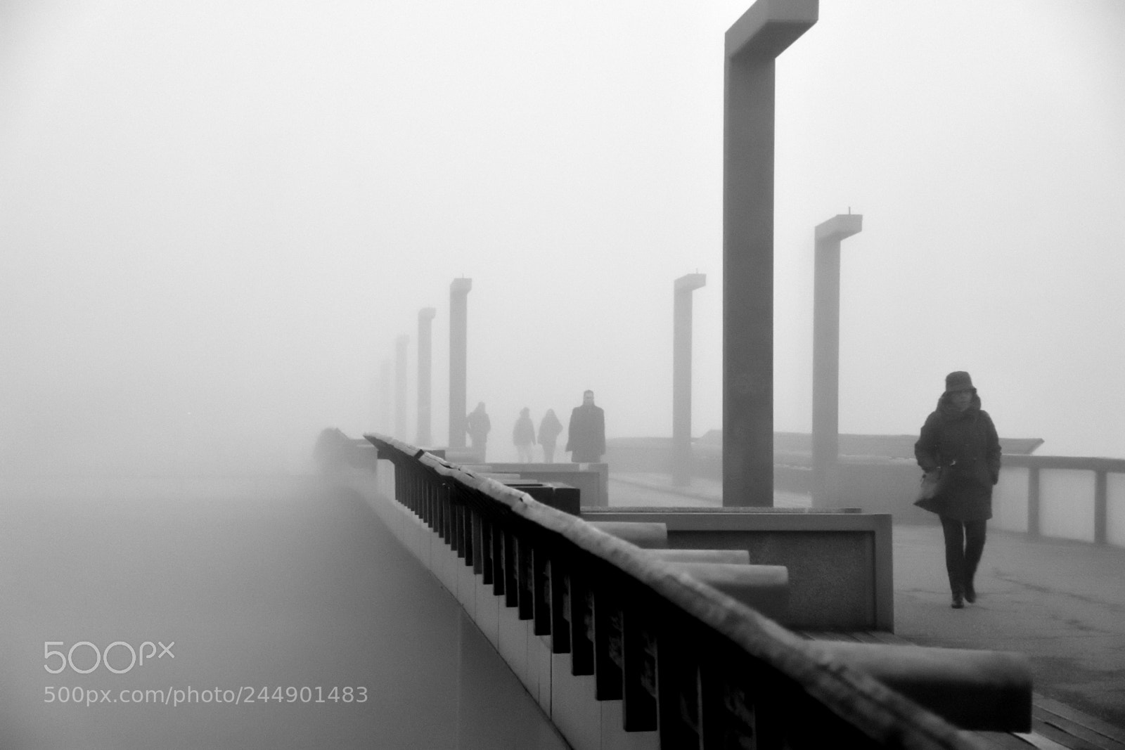 Nikon D5500 sample photo. Back from the foggy photography