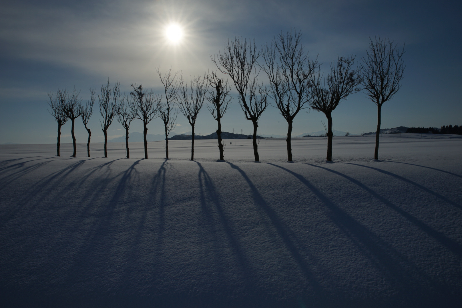 Sony a7 II + Canon EF 300mm F2.8L IS II USM sample photo. 雪原の稲架木 photography