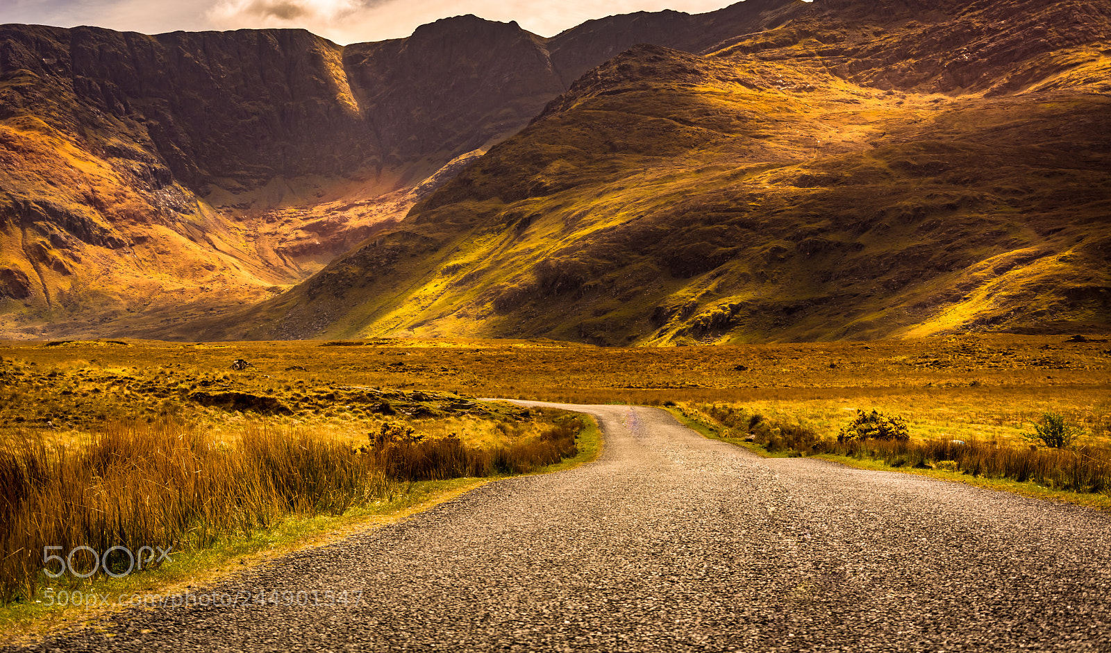 Nikon D7100 sample photo. The road to serenity photography